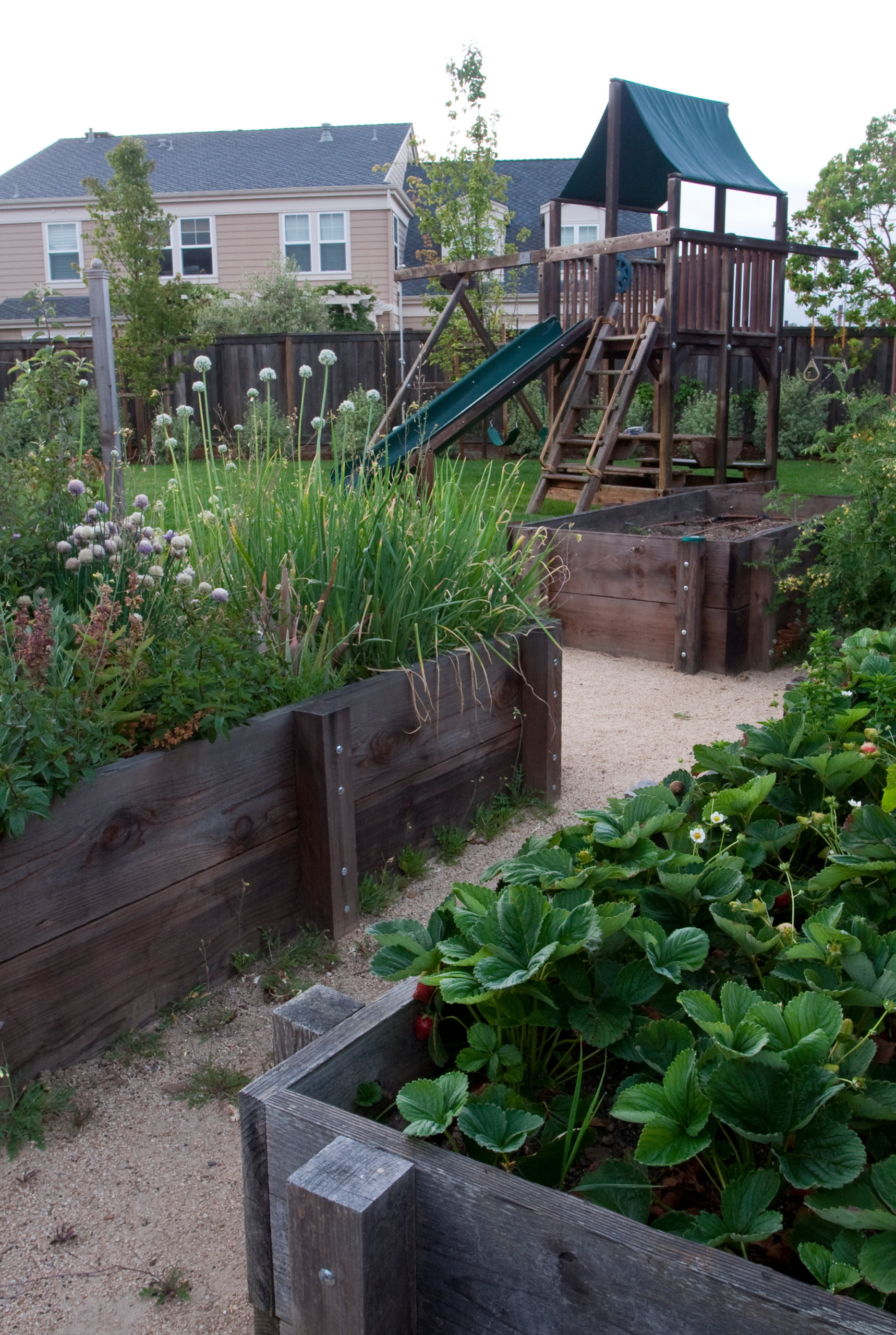 Фотоохота: 72 идеи для ограждения грядок