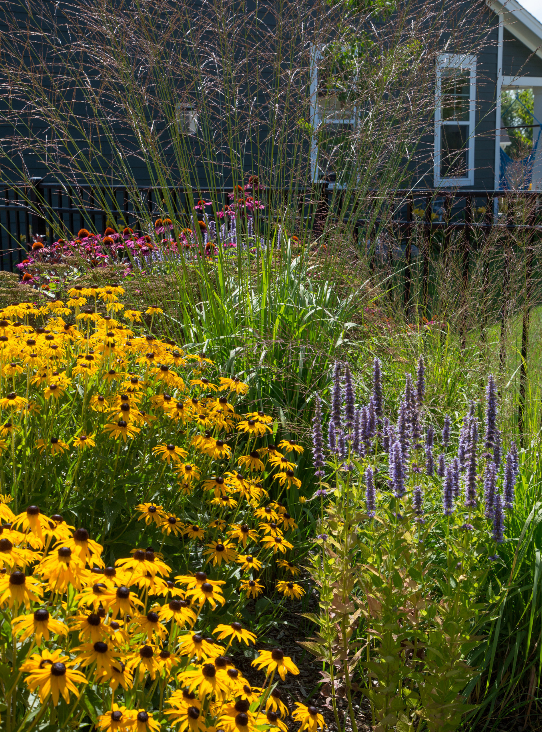 Как правильно: Посадочный материал для сада «новой волны»