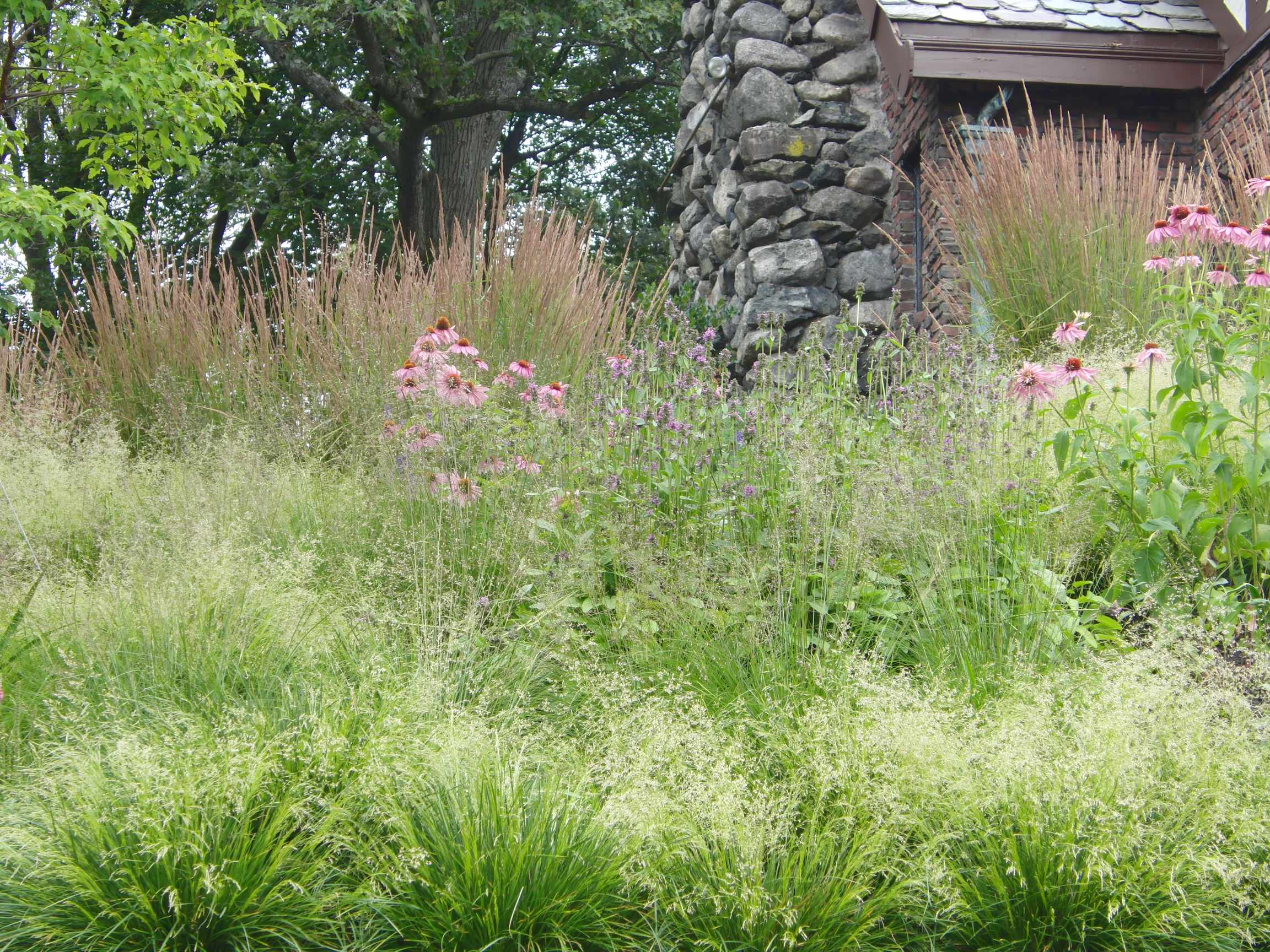 Как правильно: Посадочный материал для сада «новой волны»