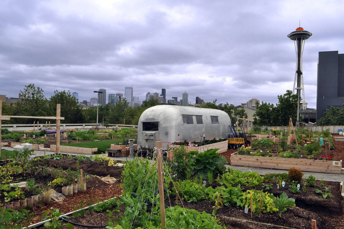 Фотоохота: 81 идея обустройства крыши на летний период