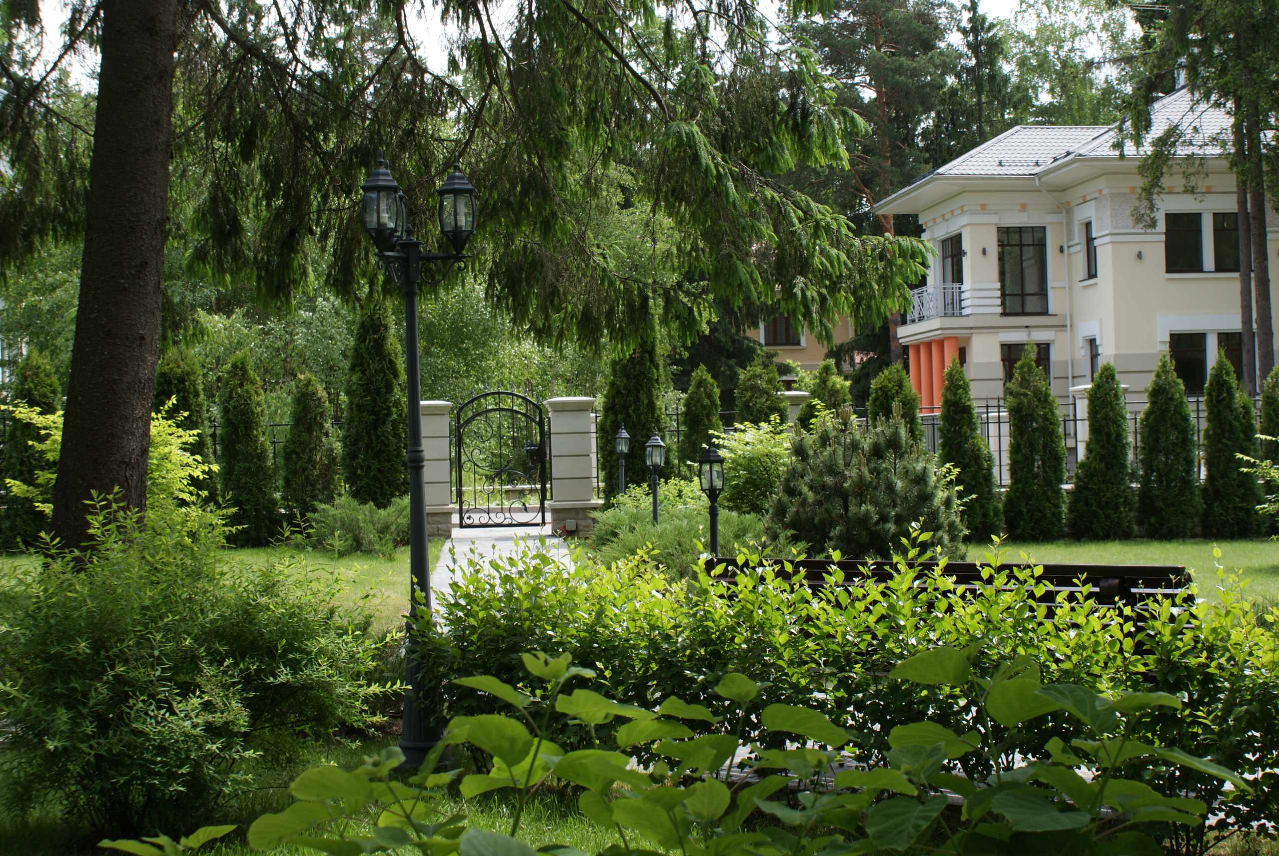 Готовимся к зиме: Выбор морозоустойчивых деревьев и кустарников