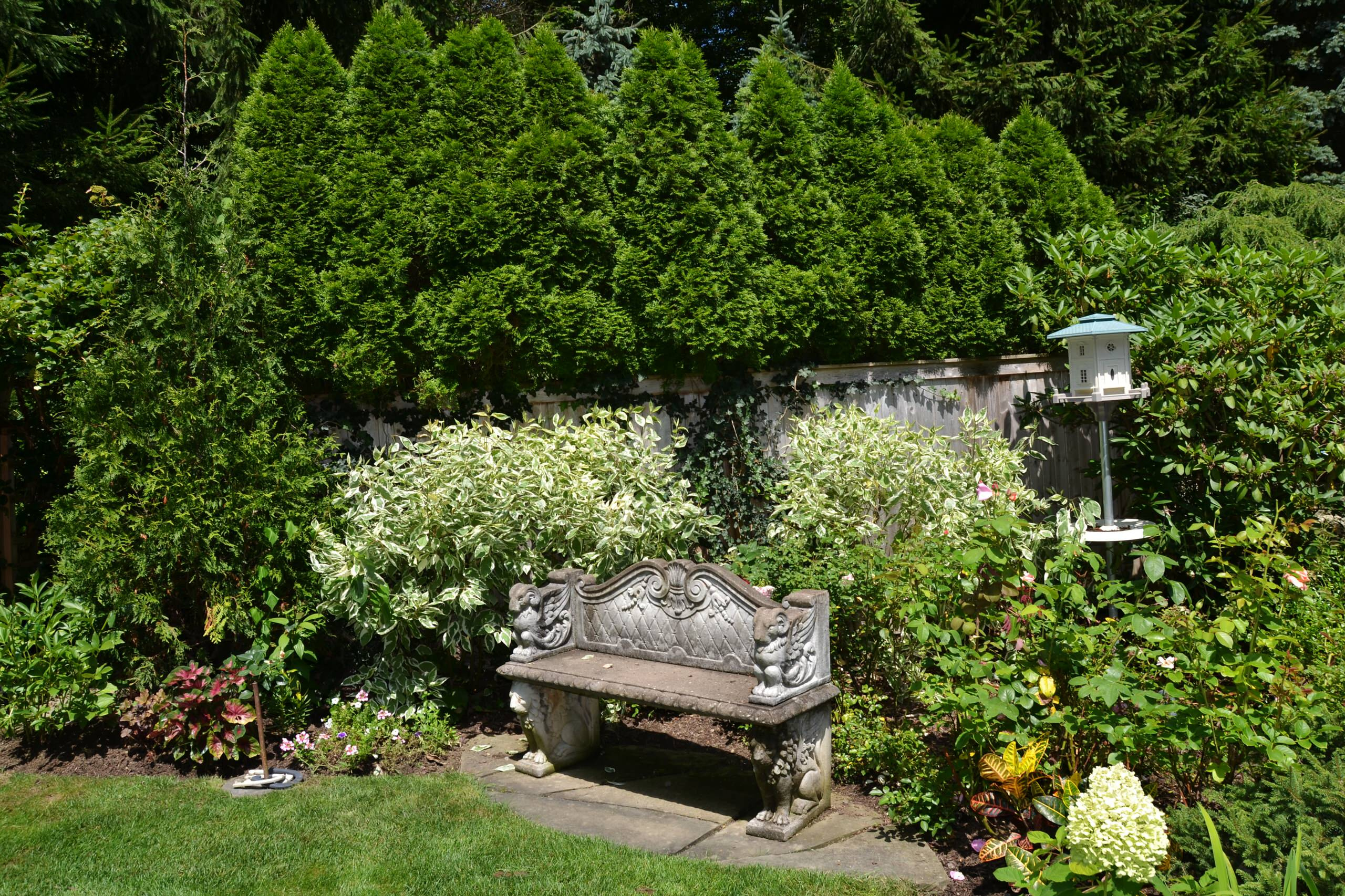 Готовимся к зиме: Выбор морозоустойчивых деревьев и кустарников