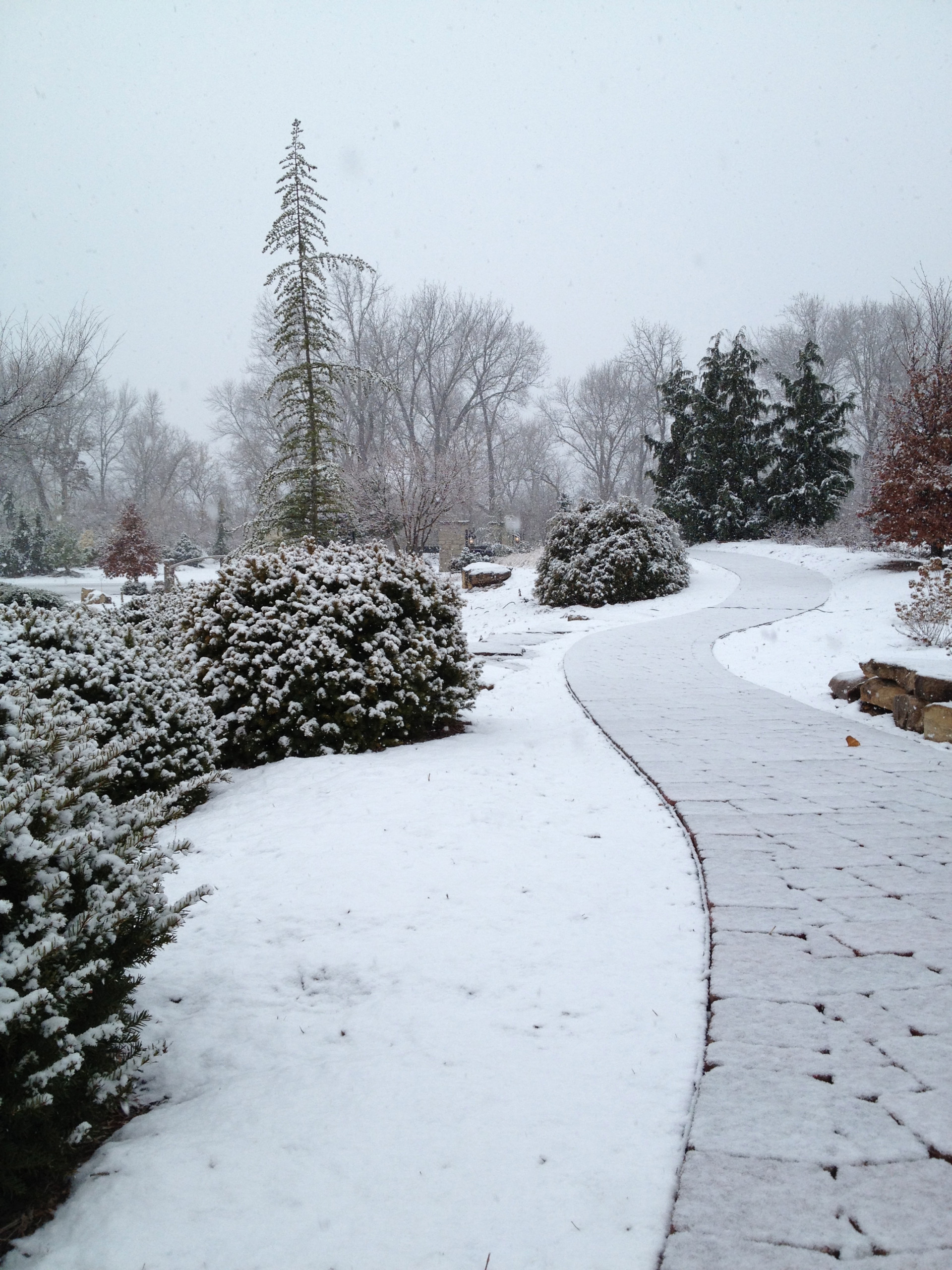 Как правильно: Решить проблему снега на участке