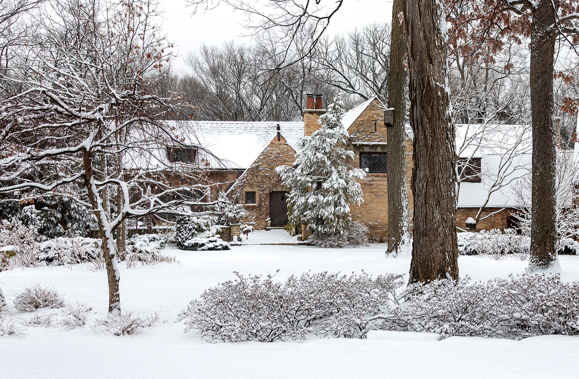 Тренд: Убирать миксбордеры по осени уже не модно
