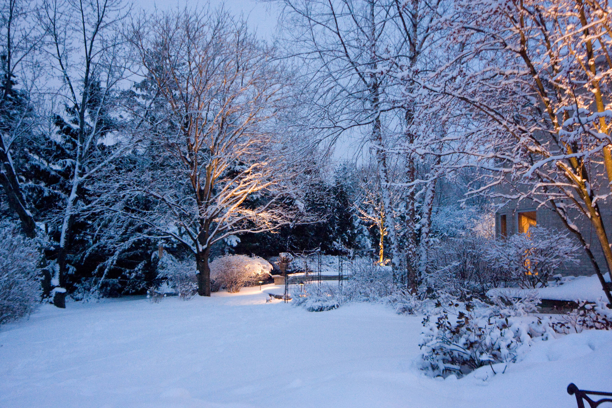 Как правильно: Приспособить участок для проживания зимой