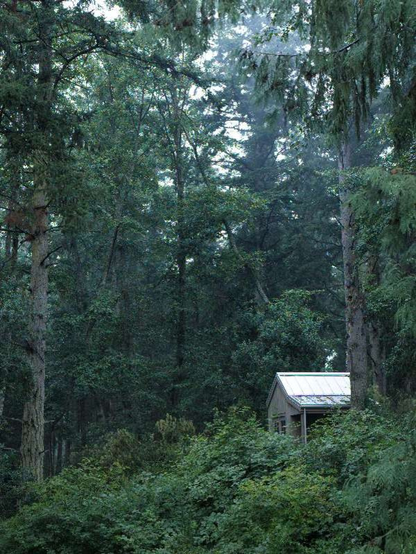 Houzz-call: Покажите нам лето, которое вы видите из окна