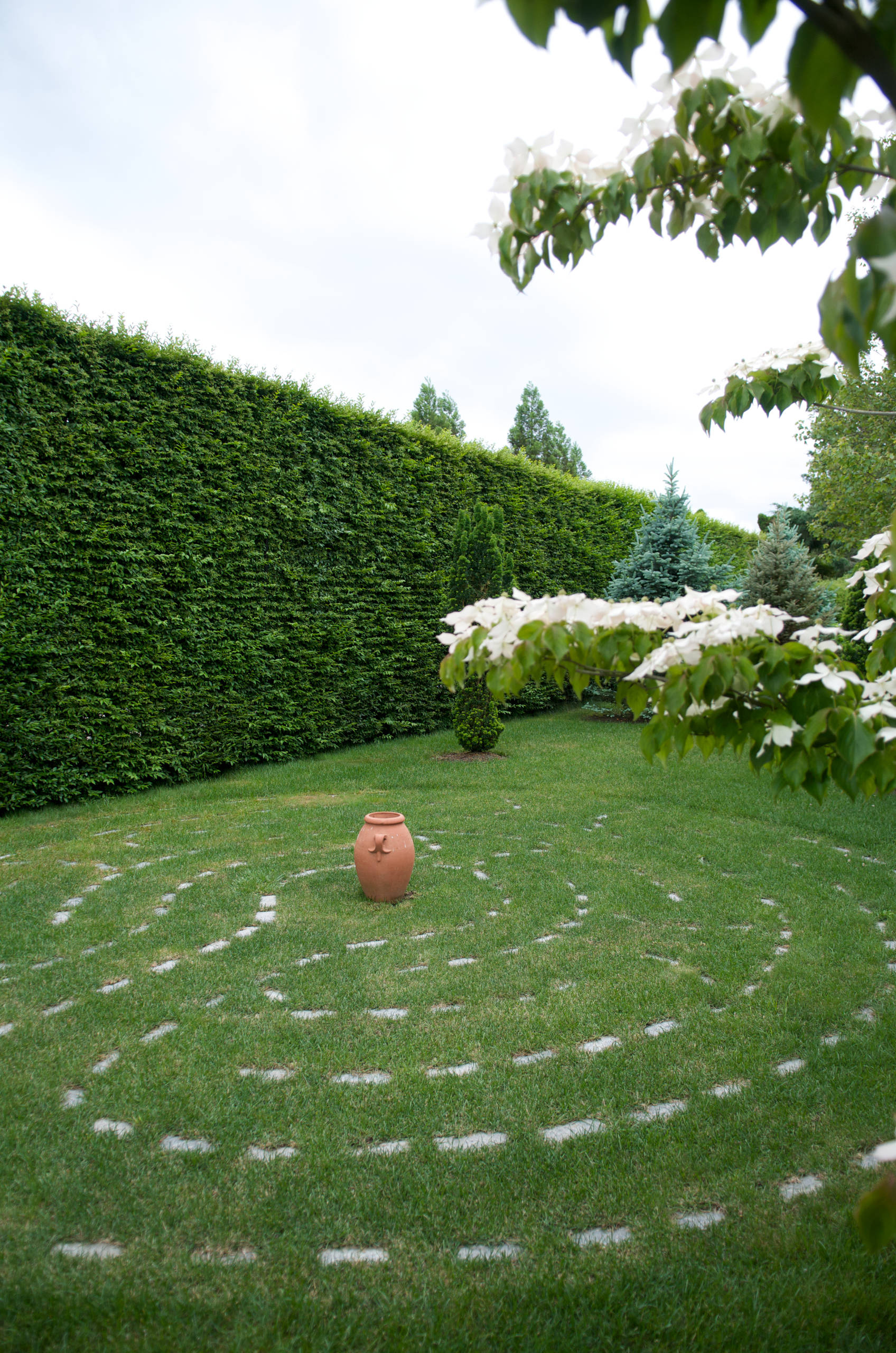 Фотоохота: «Рисунки» по газону — 18 идей