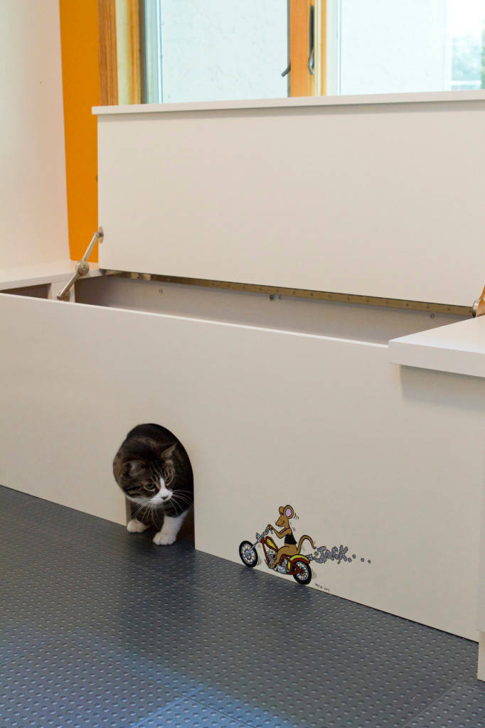 Фотоохота: Домики для кошек своими руками — 40 идей