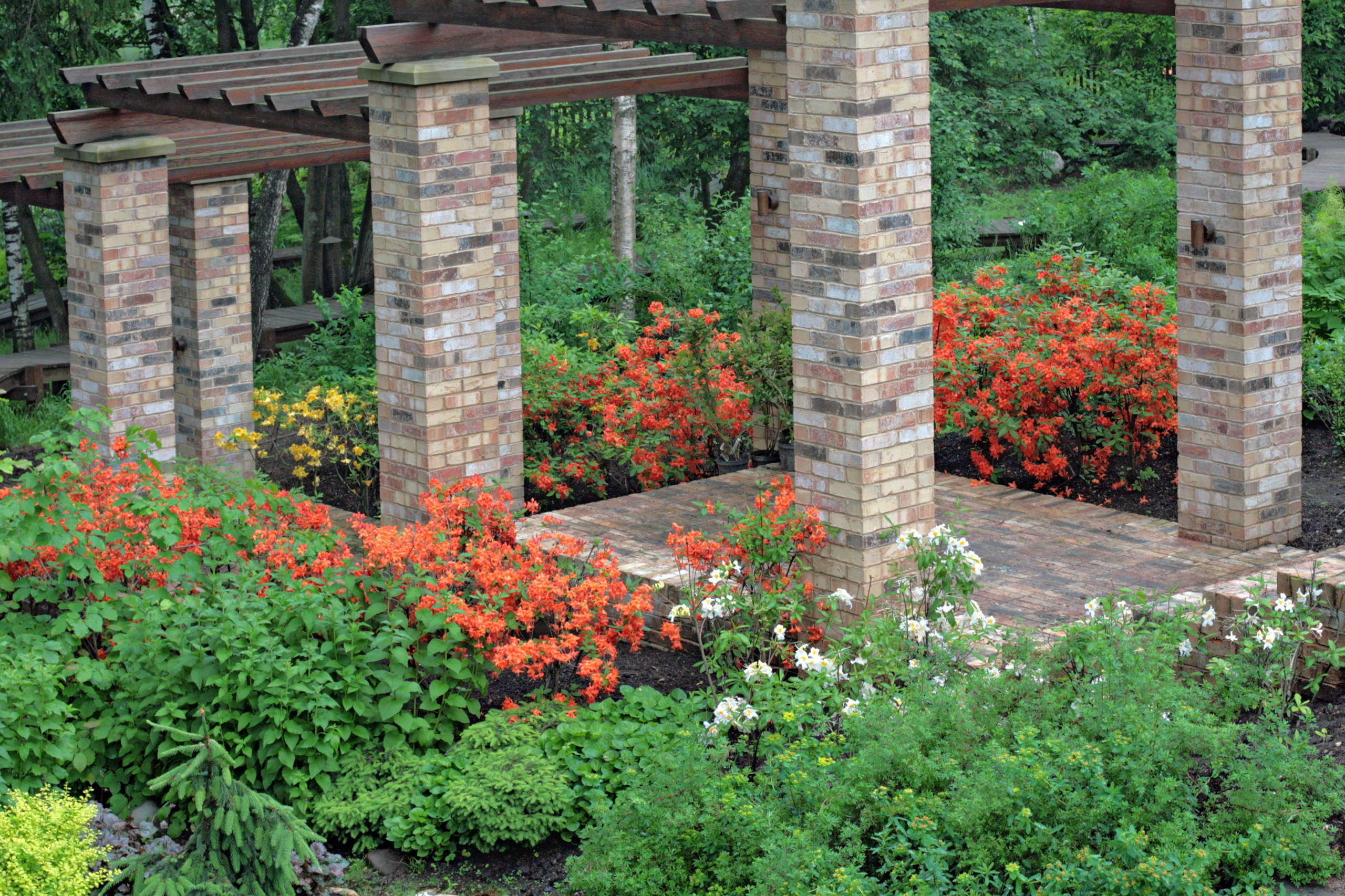 Проект недели: Сад в Барвихе по британскому проекту