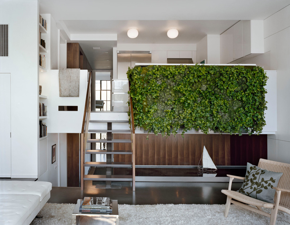 Шесть проблем, которые решает вертикальное озеленение в квартире