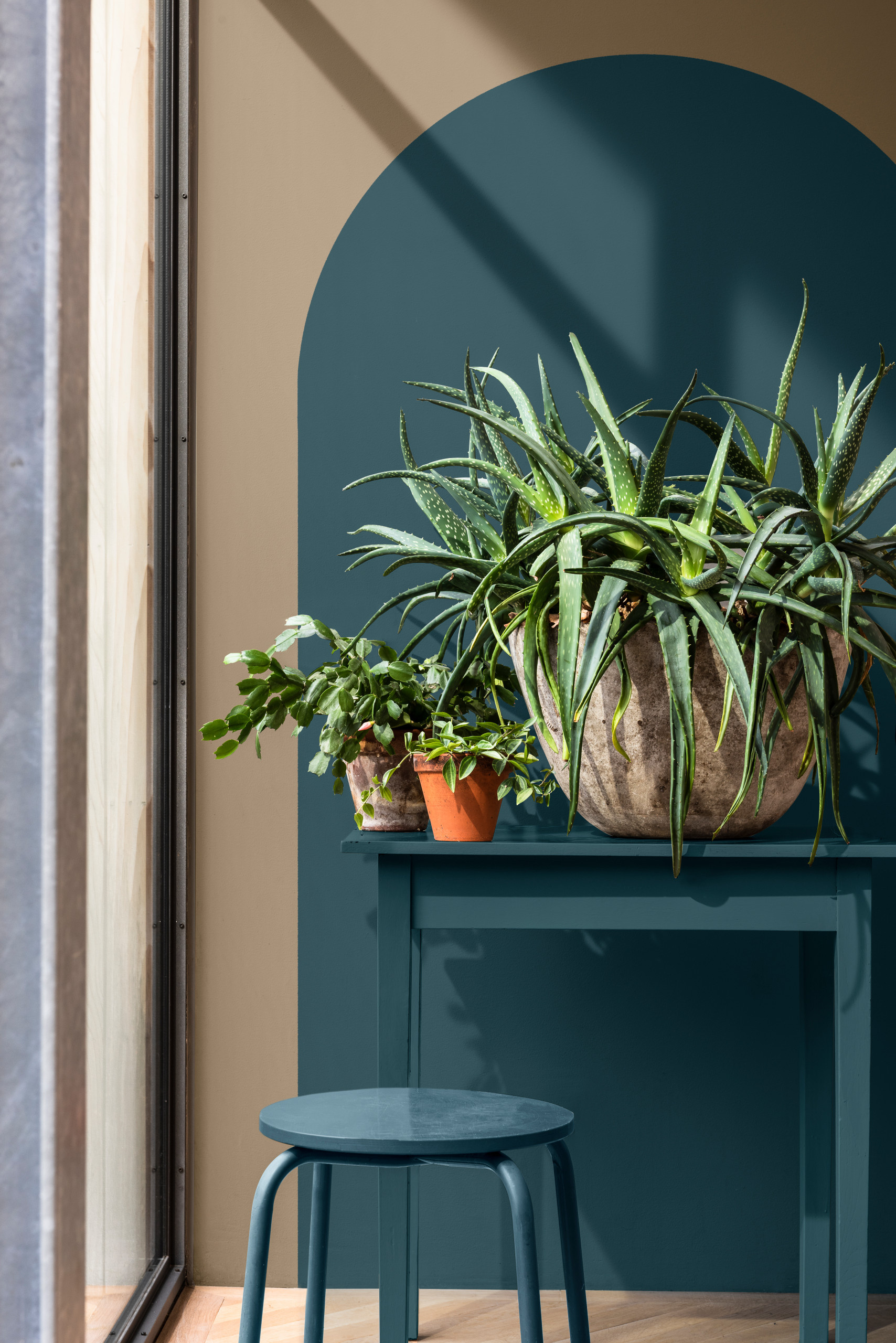 Просто фото: Пятно цвета на стене