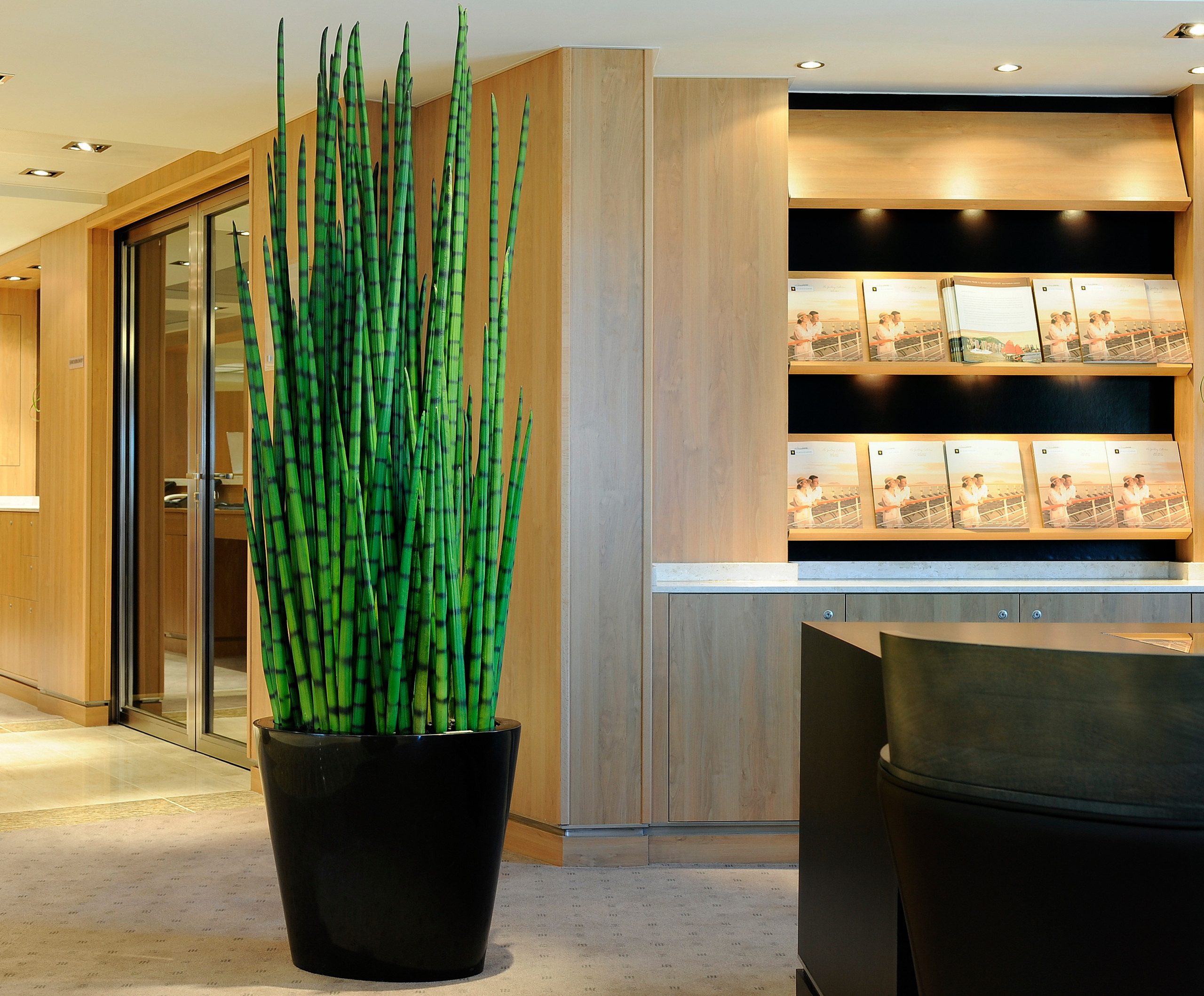 Дизайн-дебаты: Какими растениями украшать жилой интерьер