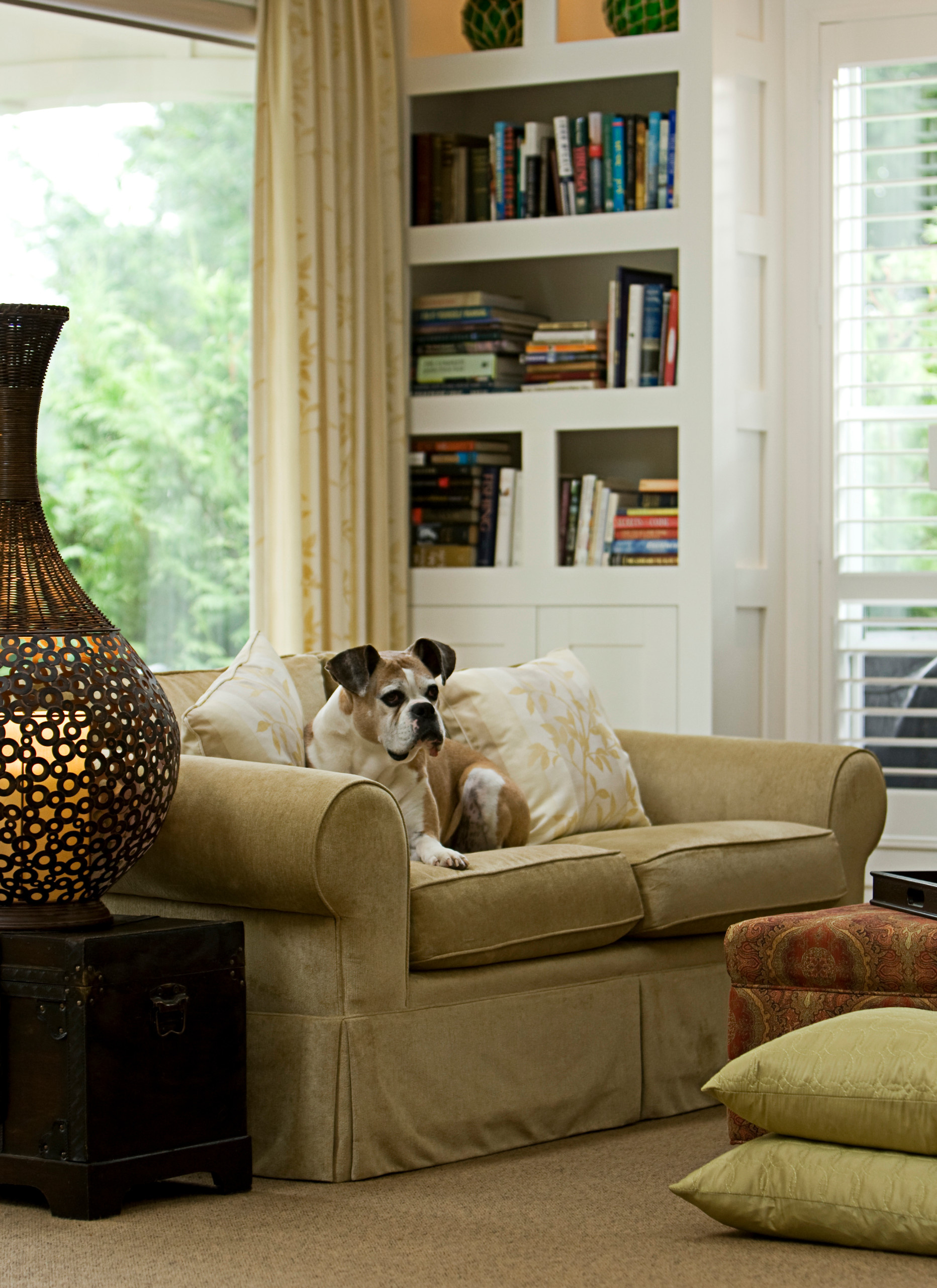 Болеем дома: Смотрим чемпионат мира по футболу