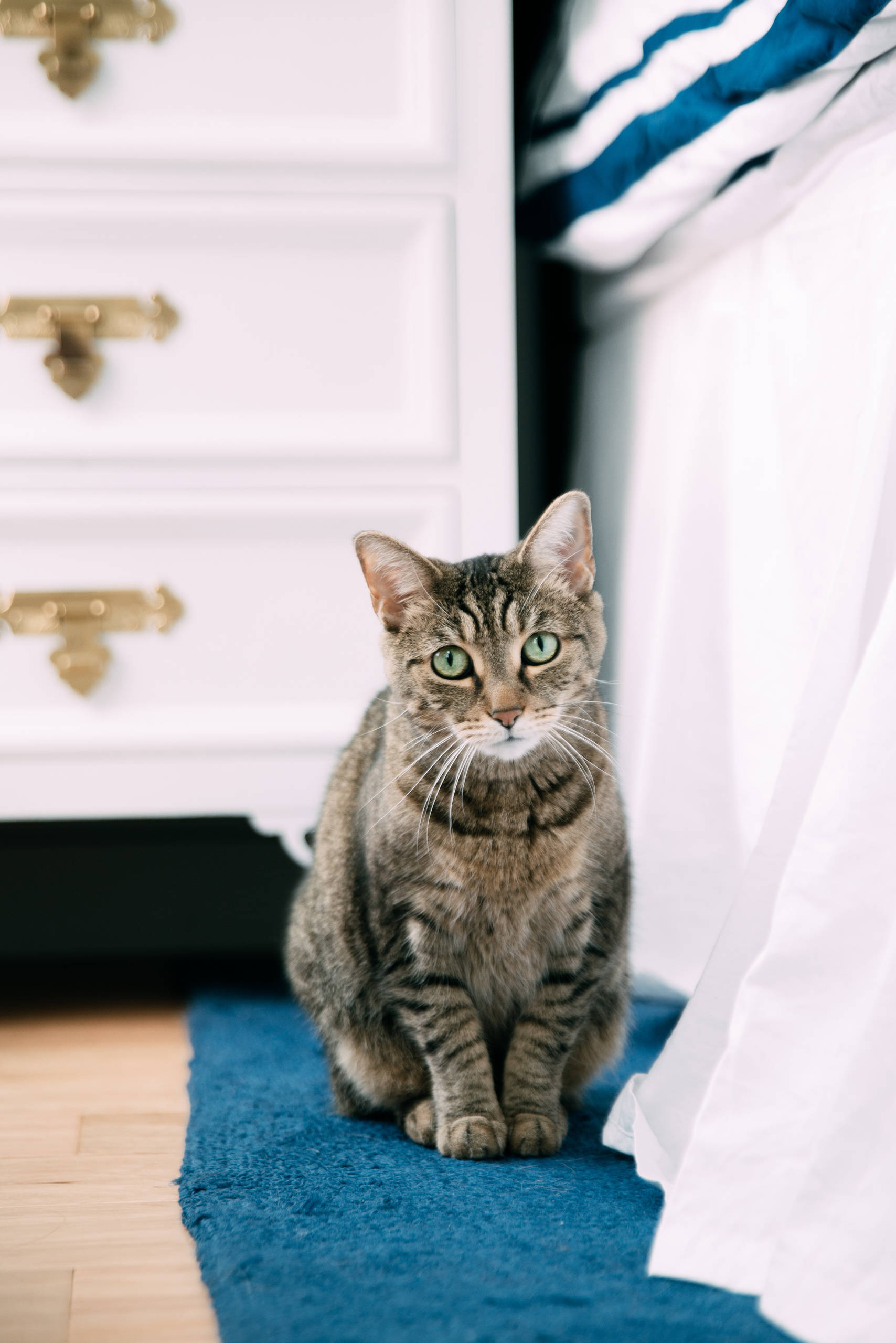 Зачем вам: Штора вместо двери