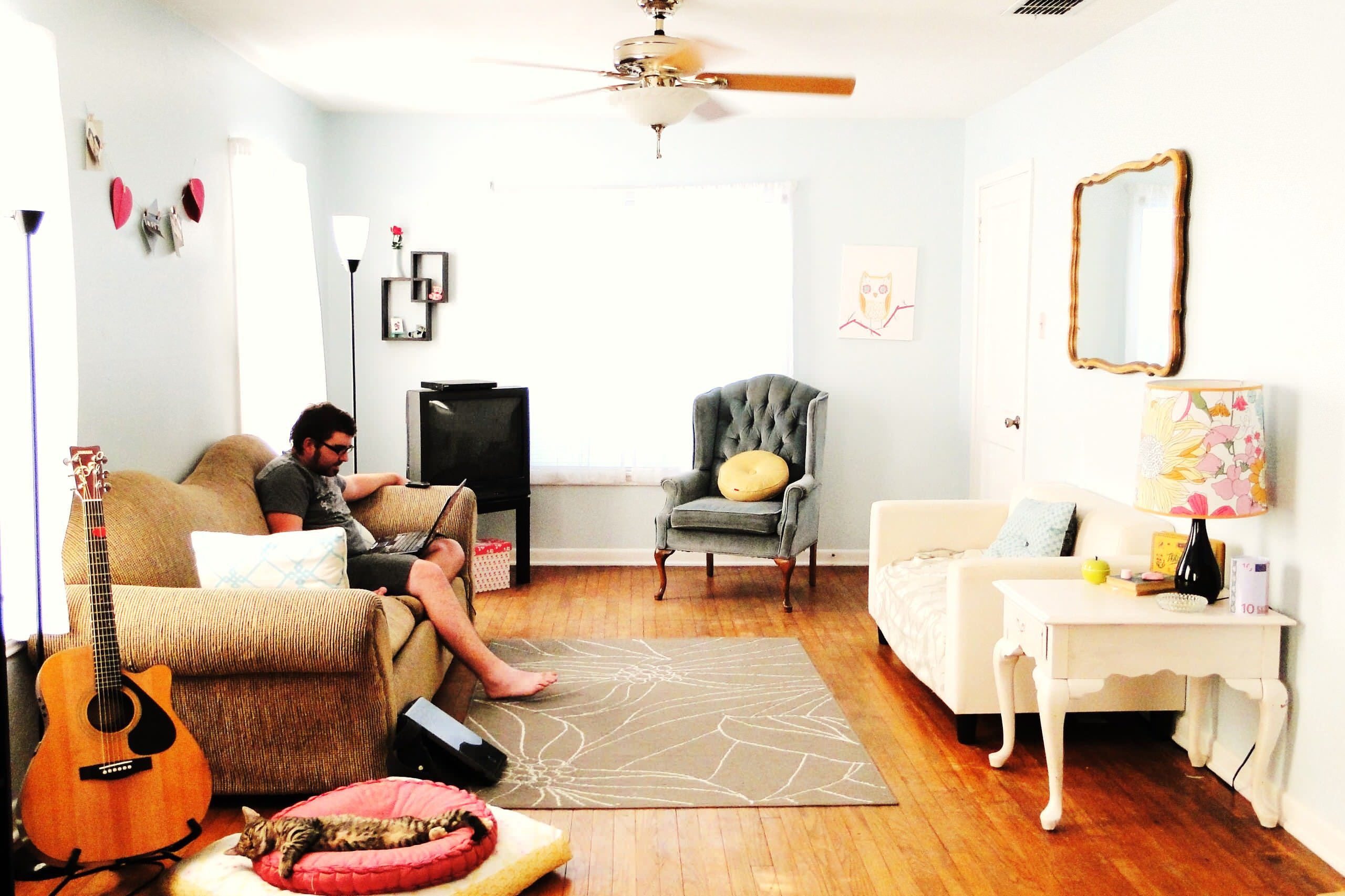 А шубу в шкаф: 5 способов пережить кошачью линьку