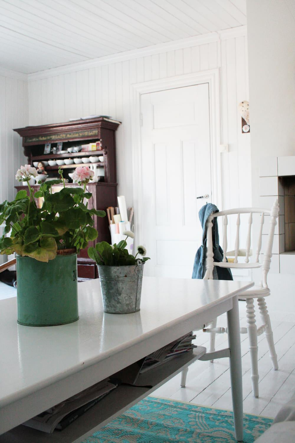 Зона роста: Полезные и потенциально-опасные комнатные растения