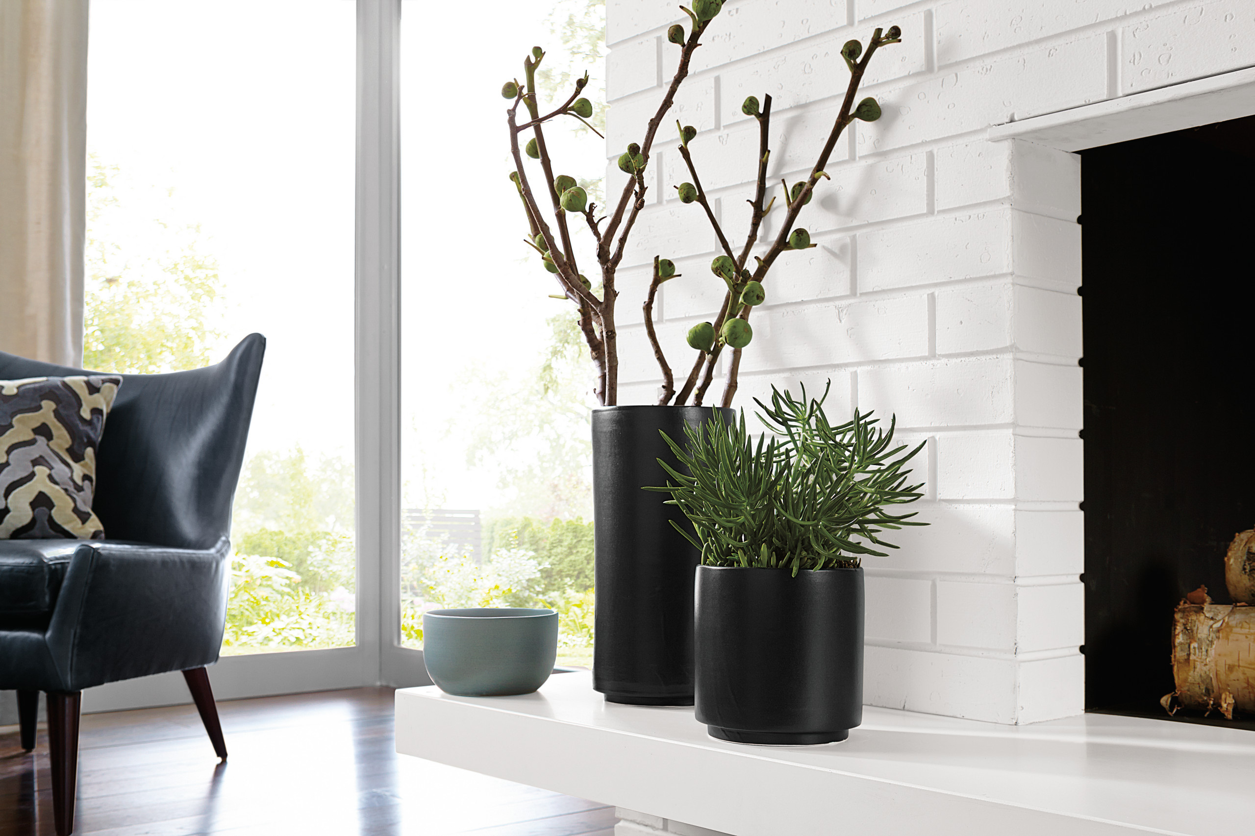 Вопрос: Как выбрать кашпо для больших растений