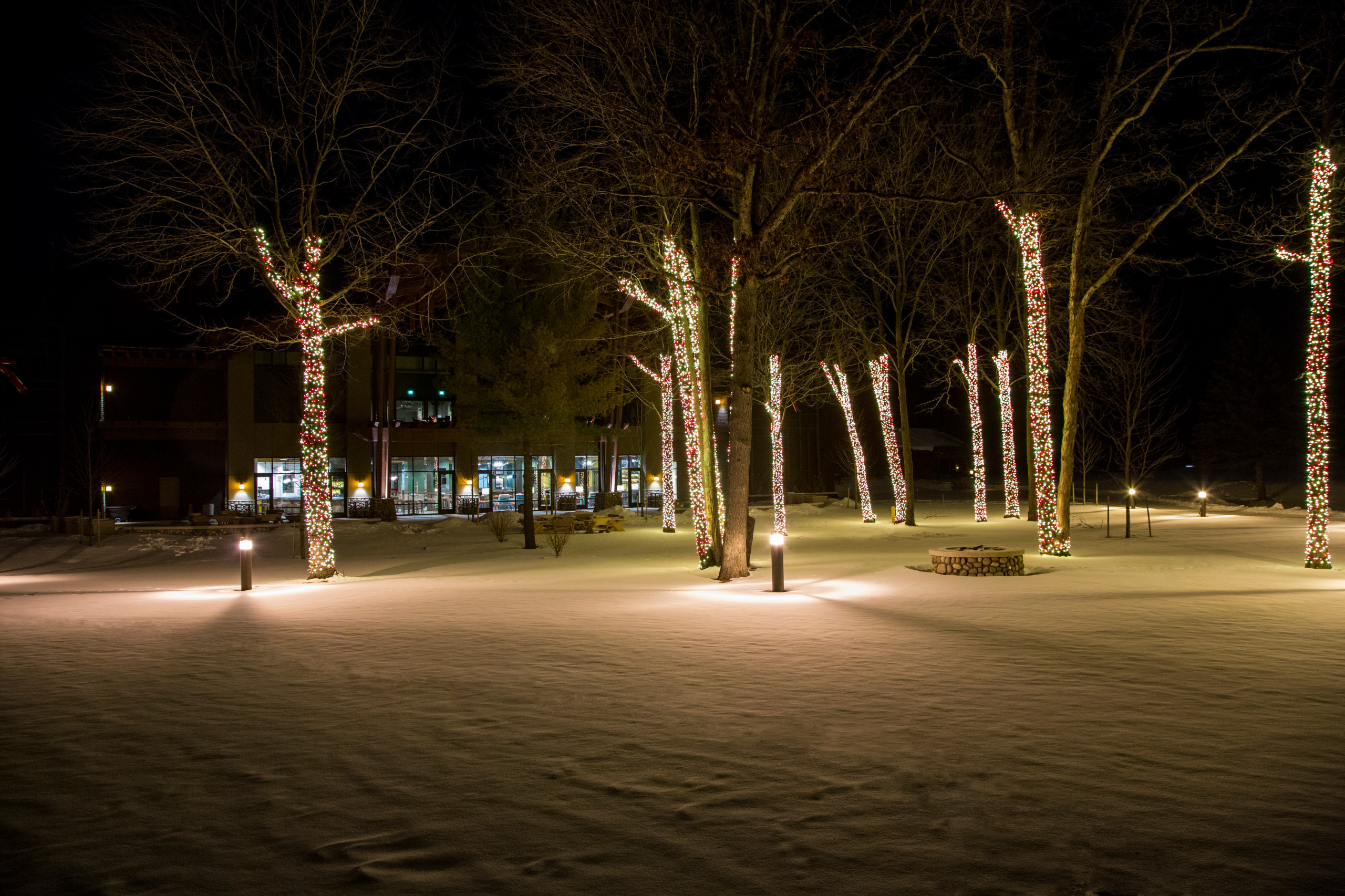 Фотоохота: Новогодняя подсветка загородного дома и сада — 26 идей