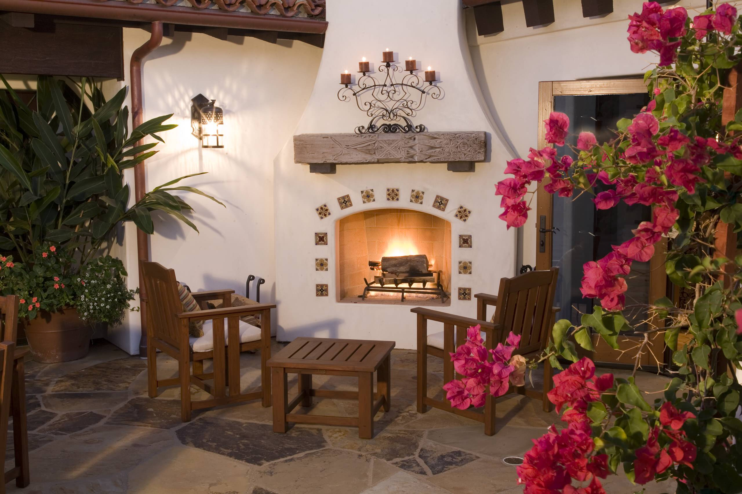 Денежное дерево: Топ-10 комнатных растений для богатства