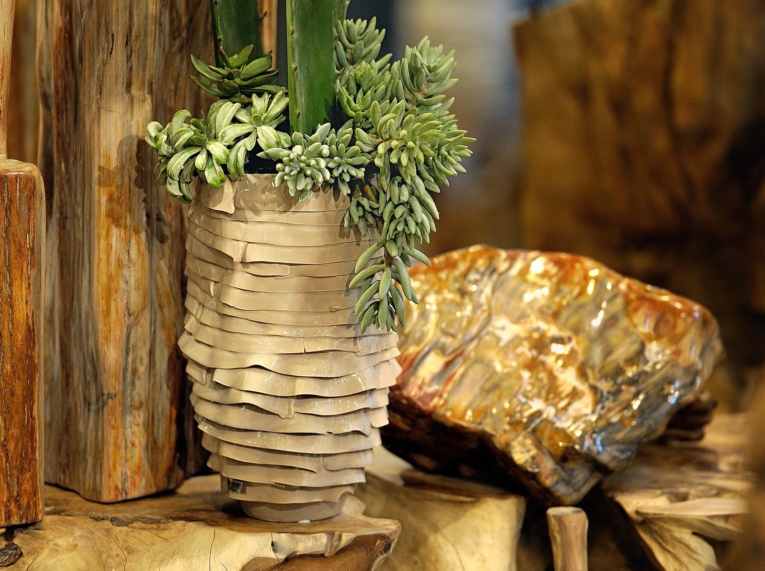 Пересадка комнатных растений: Что я делаю не так