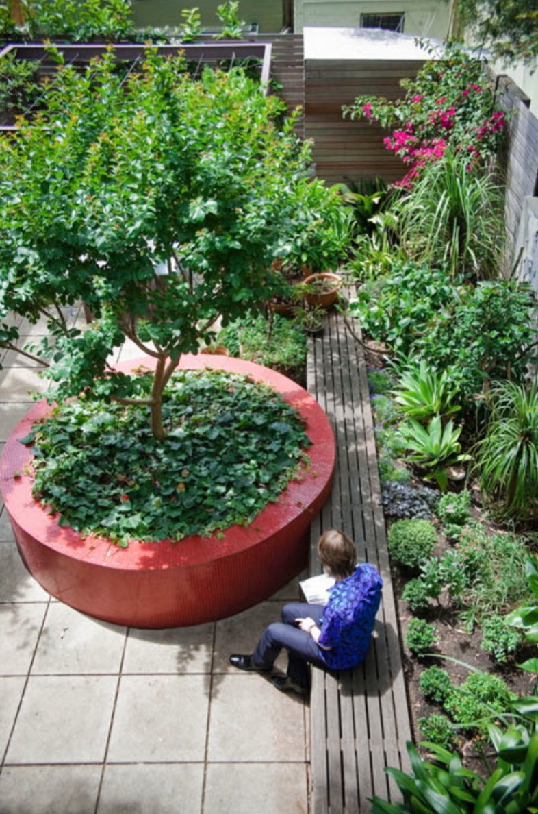 Как правильно: Уход за плодовыми деревьями и кустарниками