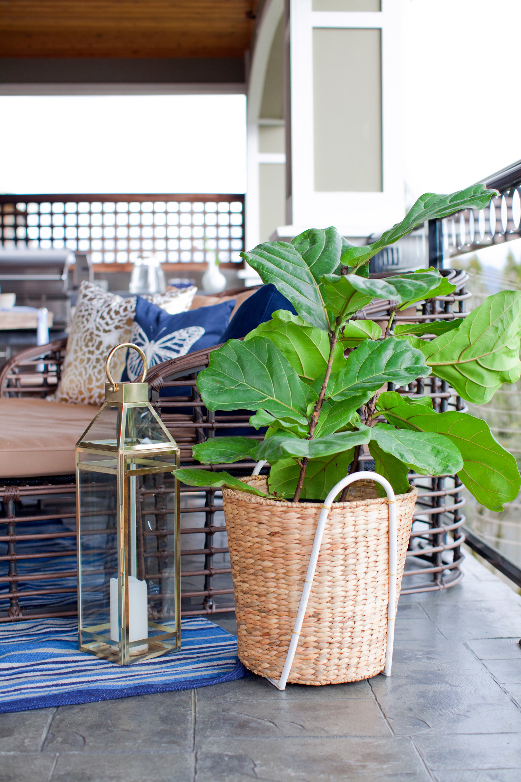 Принцип «изюм и тесто»: Как выбирать растения для сада