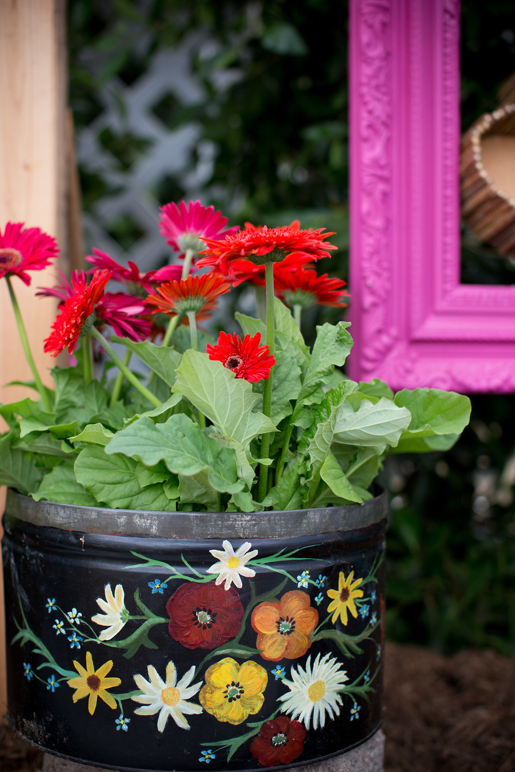 Азбука садовода: Каким садовым растениям надо зимовать внутри дома