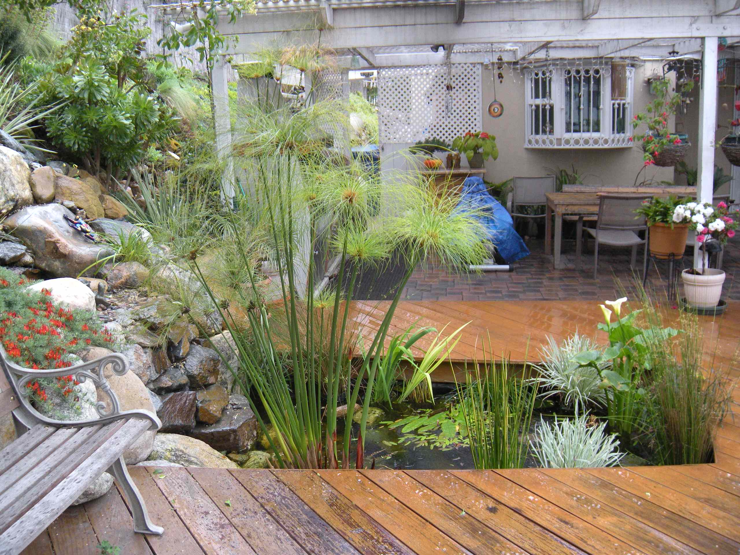 Фотоохота: 69 идей, как оформить пруд на даче