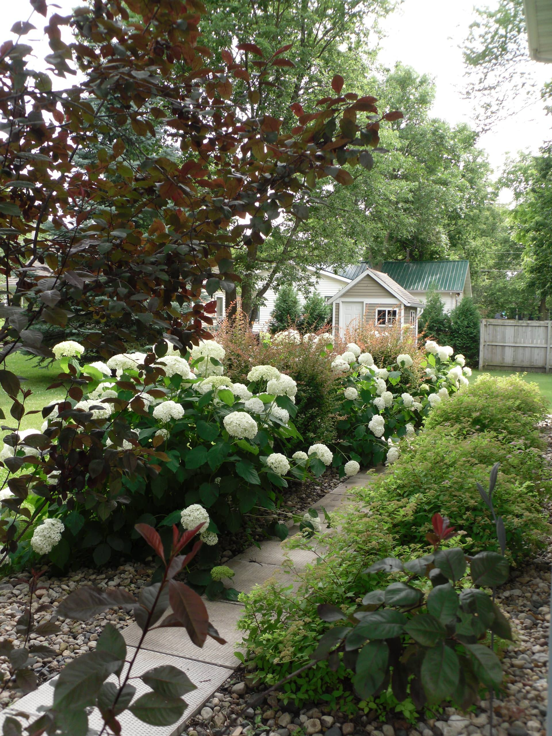 Сад для ленивых: Создание красивого сада, не требующего ухода