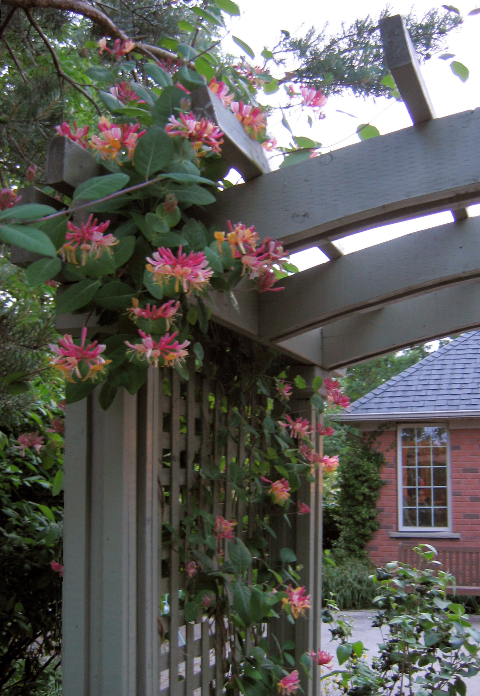 Растим арки — большие и маленькие