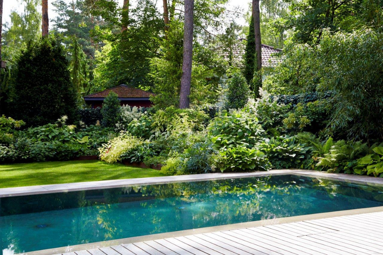 Не подглядывай: Планируем опушки на участке