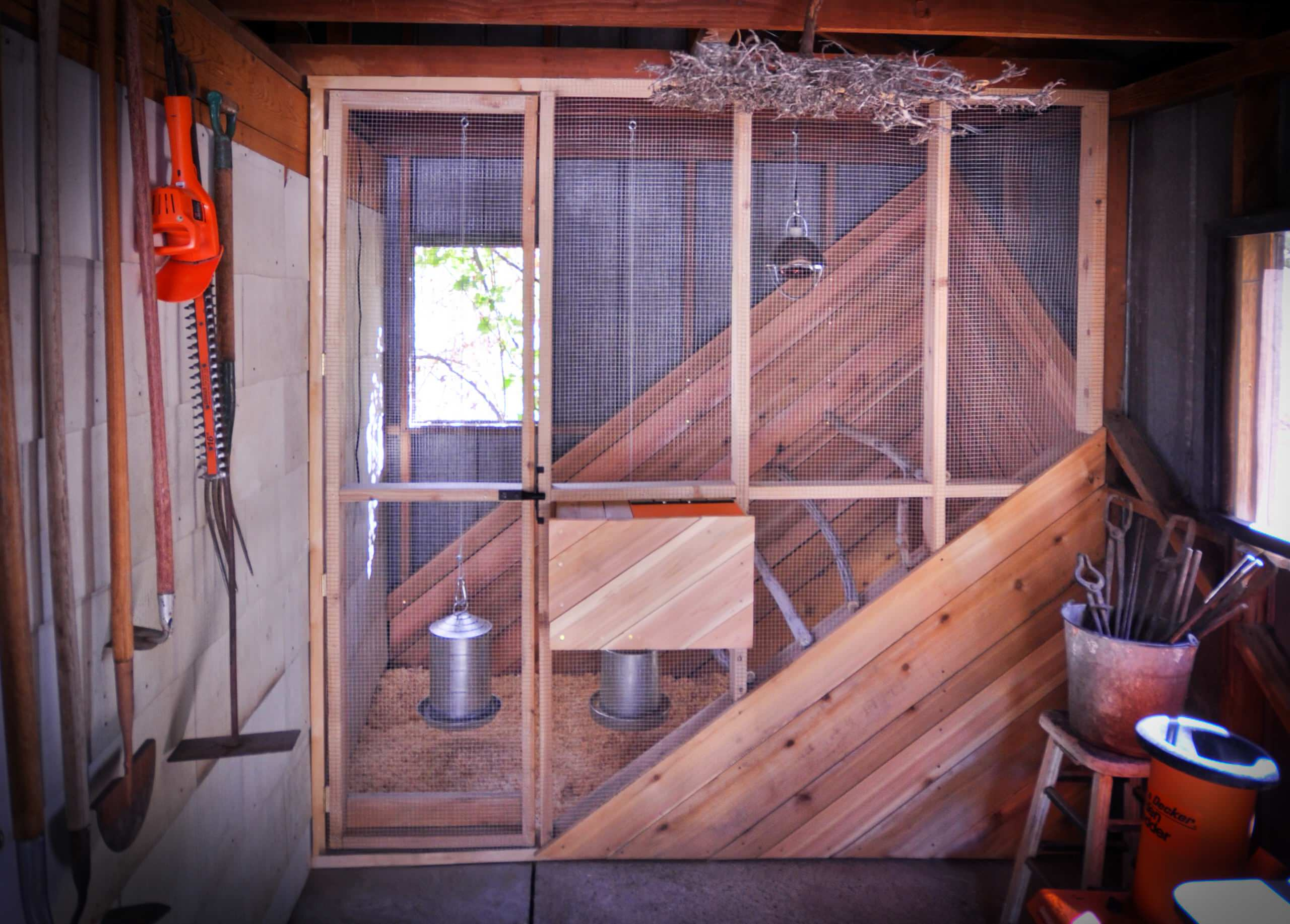 Вопрос: Как построить курятник своими руками