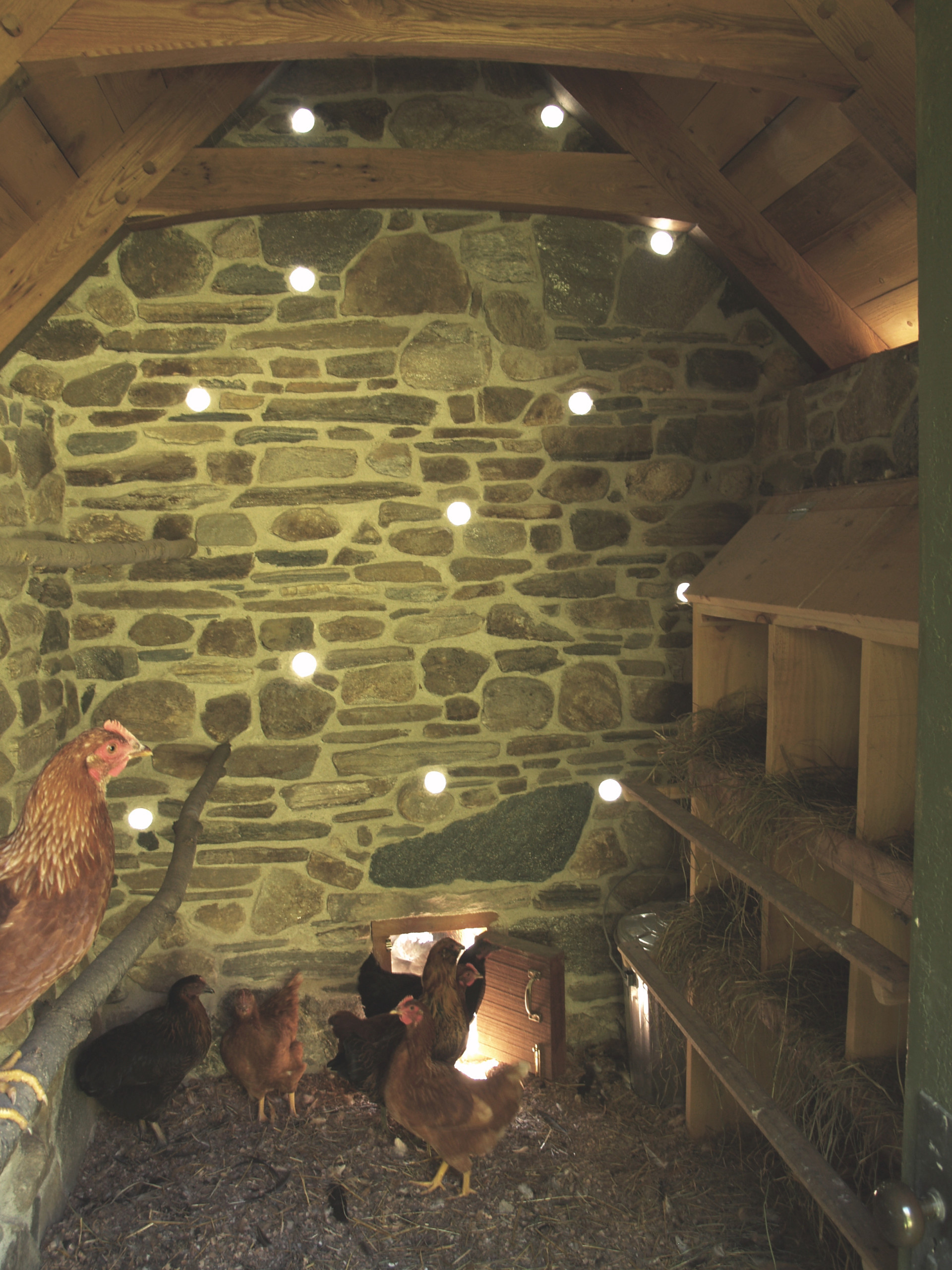 Вопрос: Как построить курятник своими руками