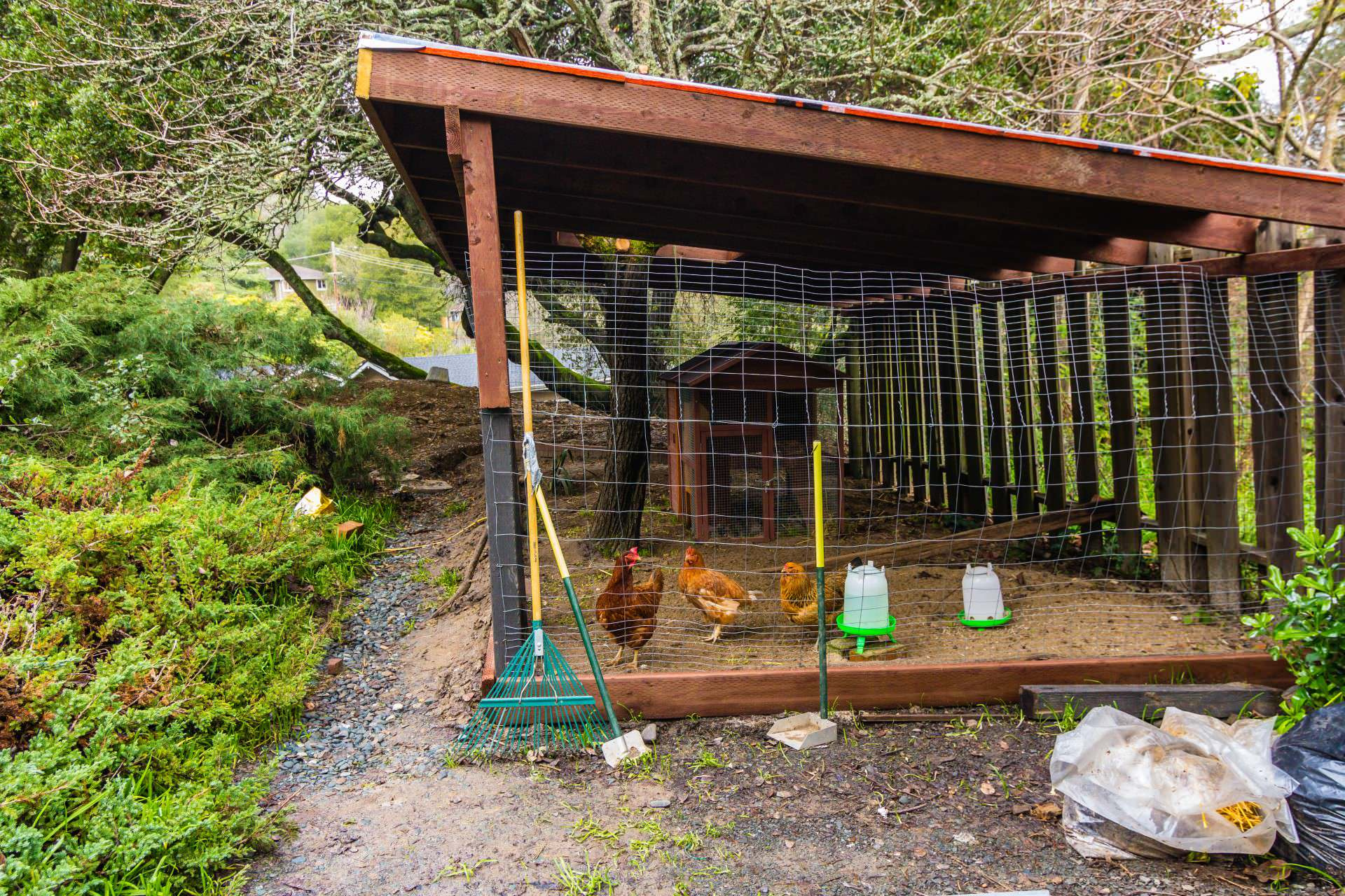 Вопрос: Как построить курятник своими руками