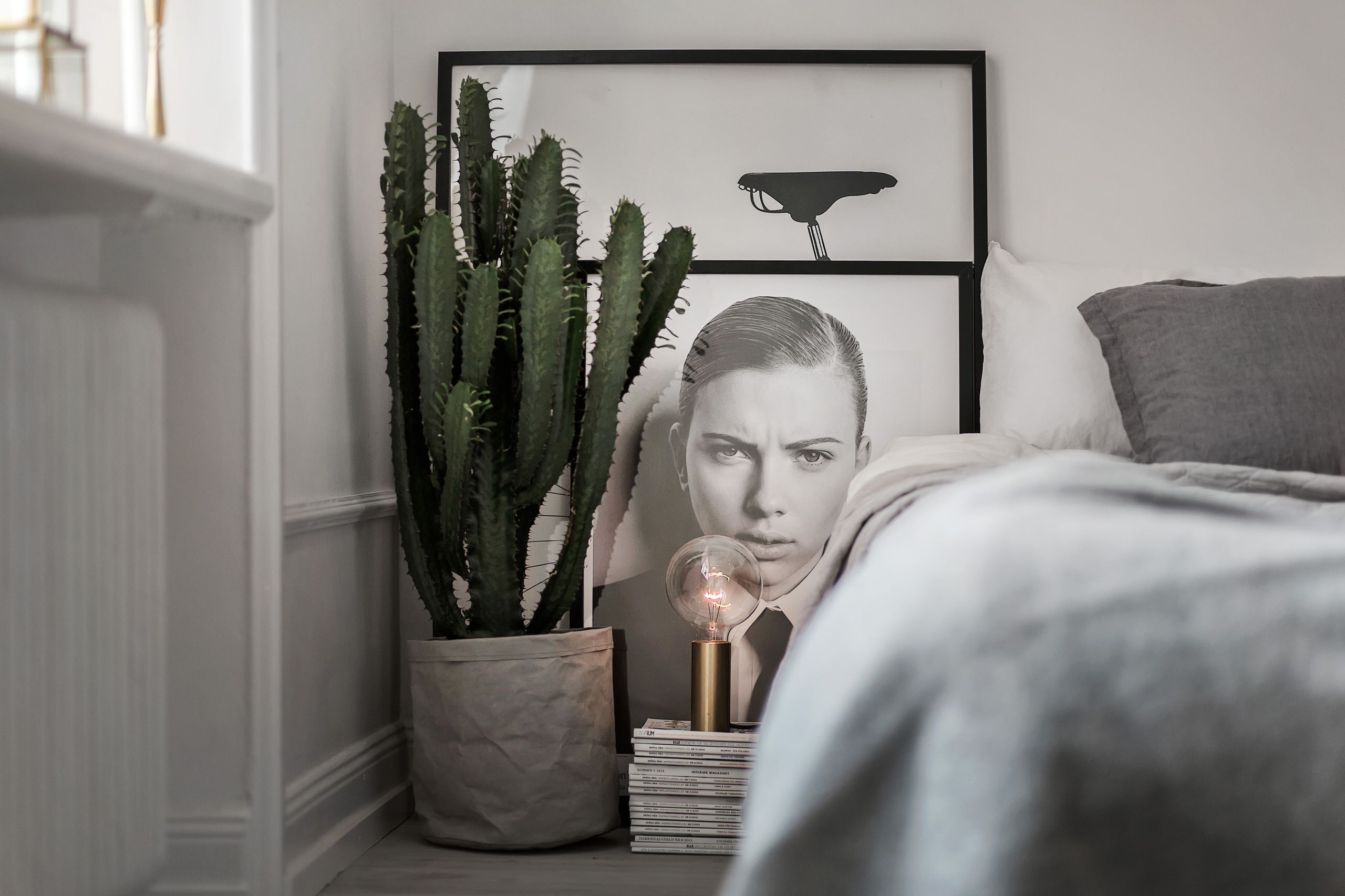 Вопрос: Чем заменить землю для растений в горшках