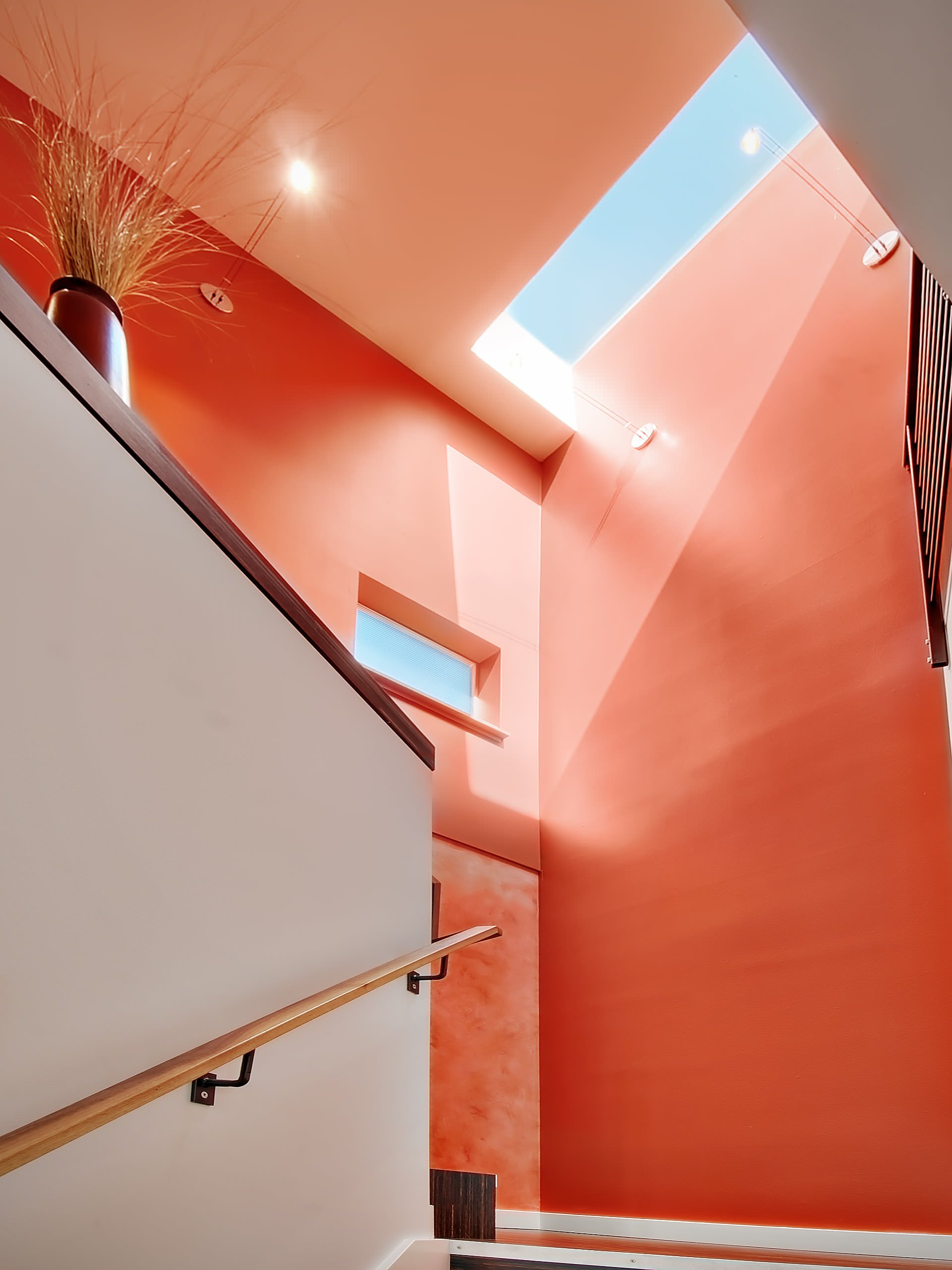 Коралловый — цвет 2019 года по версии Pantone