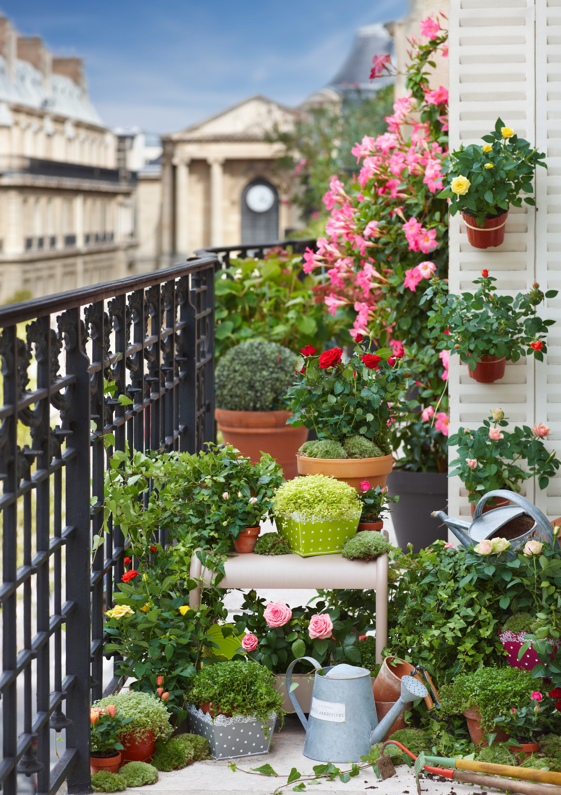 Фотоохота: 86 дизайн-идей для небольшого открытого балкончика