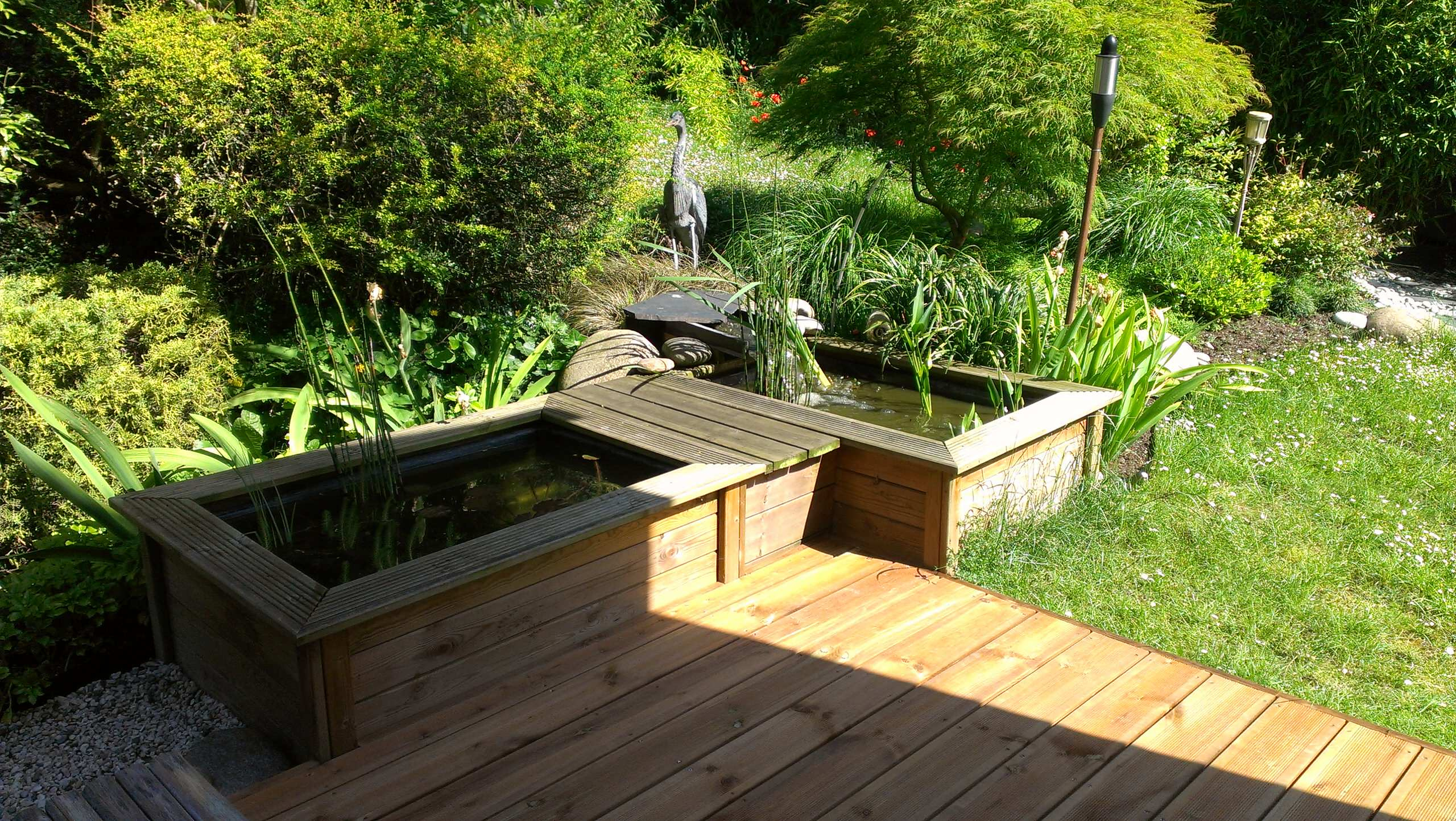 Фотоохота: 69 идей, как оформить пруд на даче