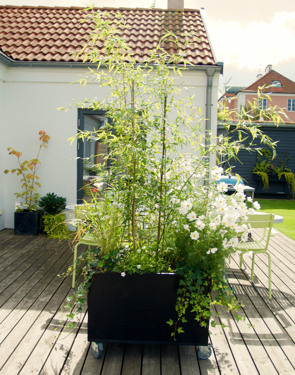 Фотоохота: Клумбы и цветники — 64 идеи для дачи