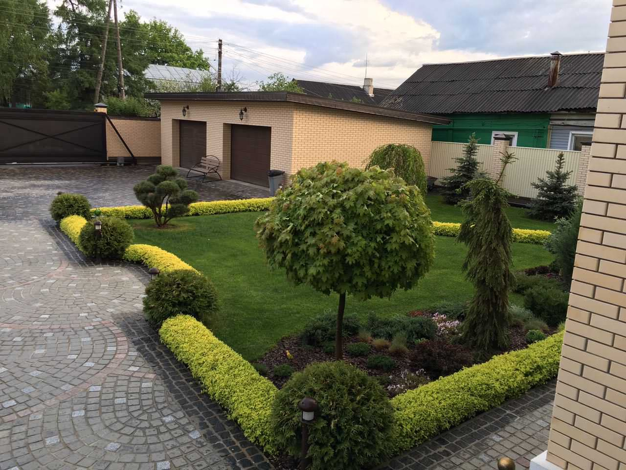 В закладки: Топ-5 растений для стриженого бордюра