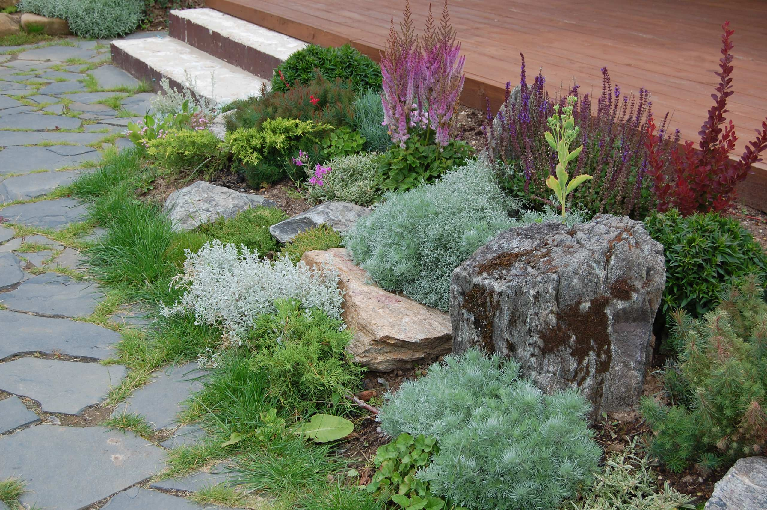 Проект недели: Сад, в котором дом «стоит» на цветнике