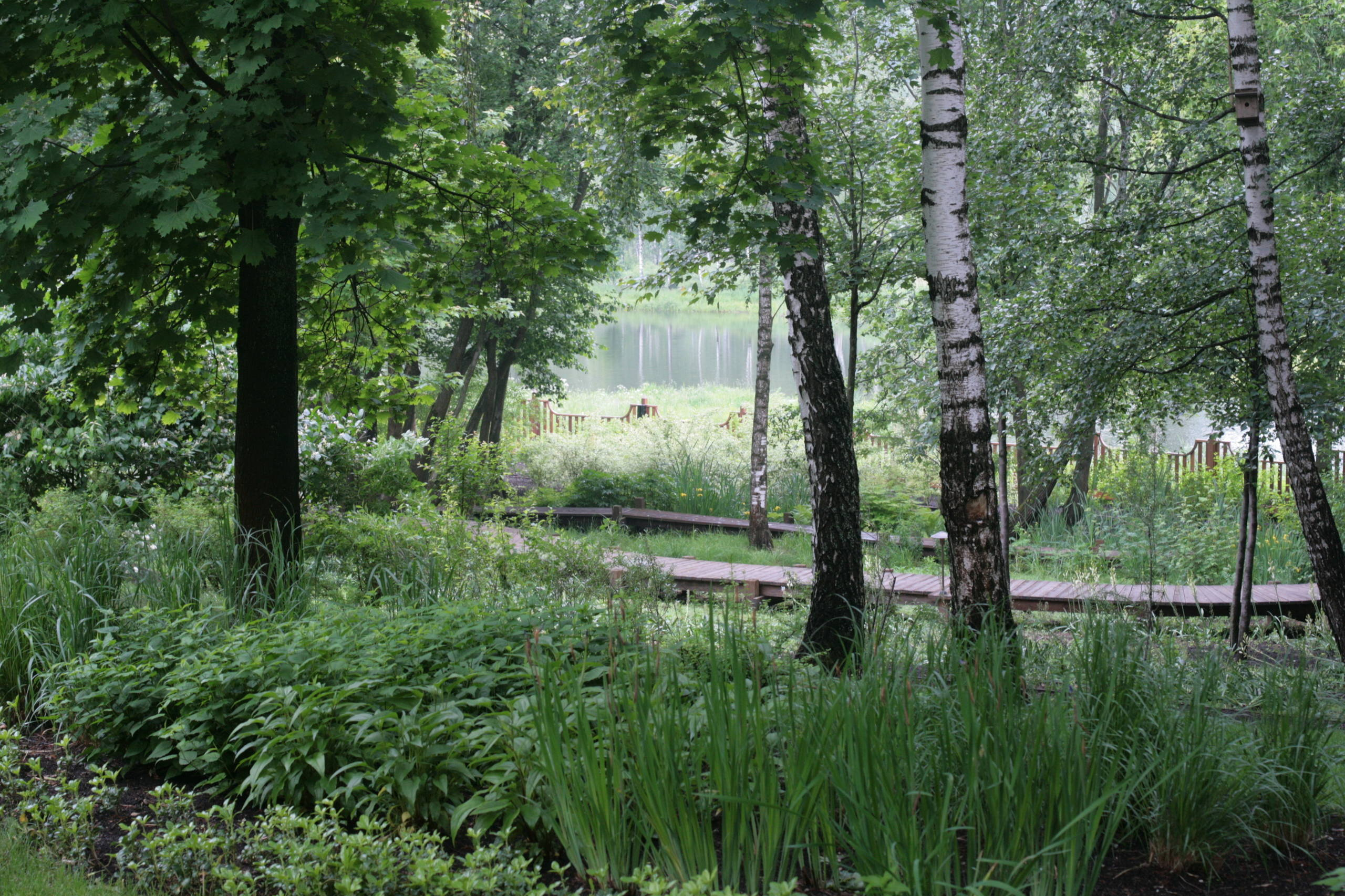 Проект недели: Сад в Барвихе по британскому проекту