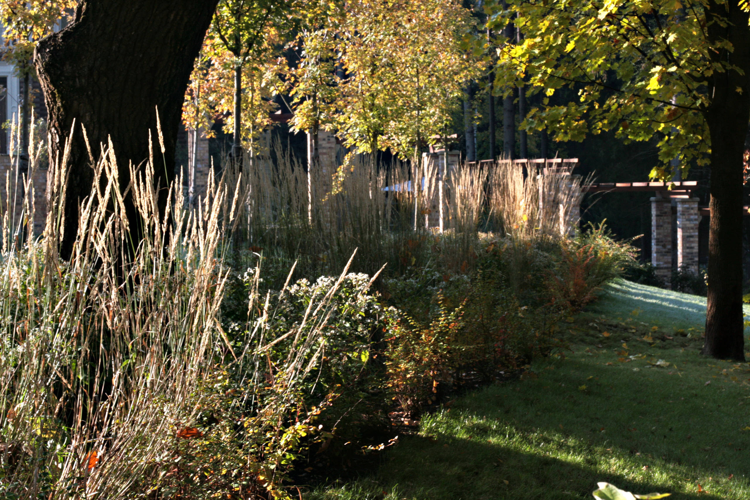 Проект недели: Сад в Барвихе по британскому проекту