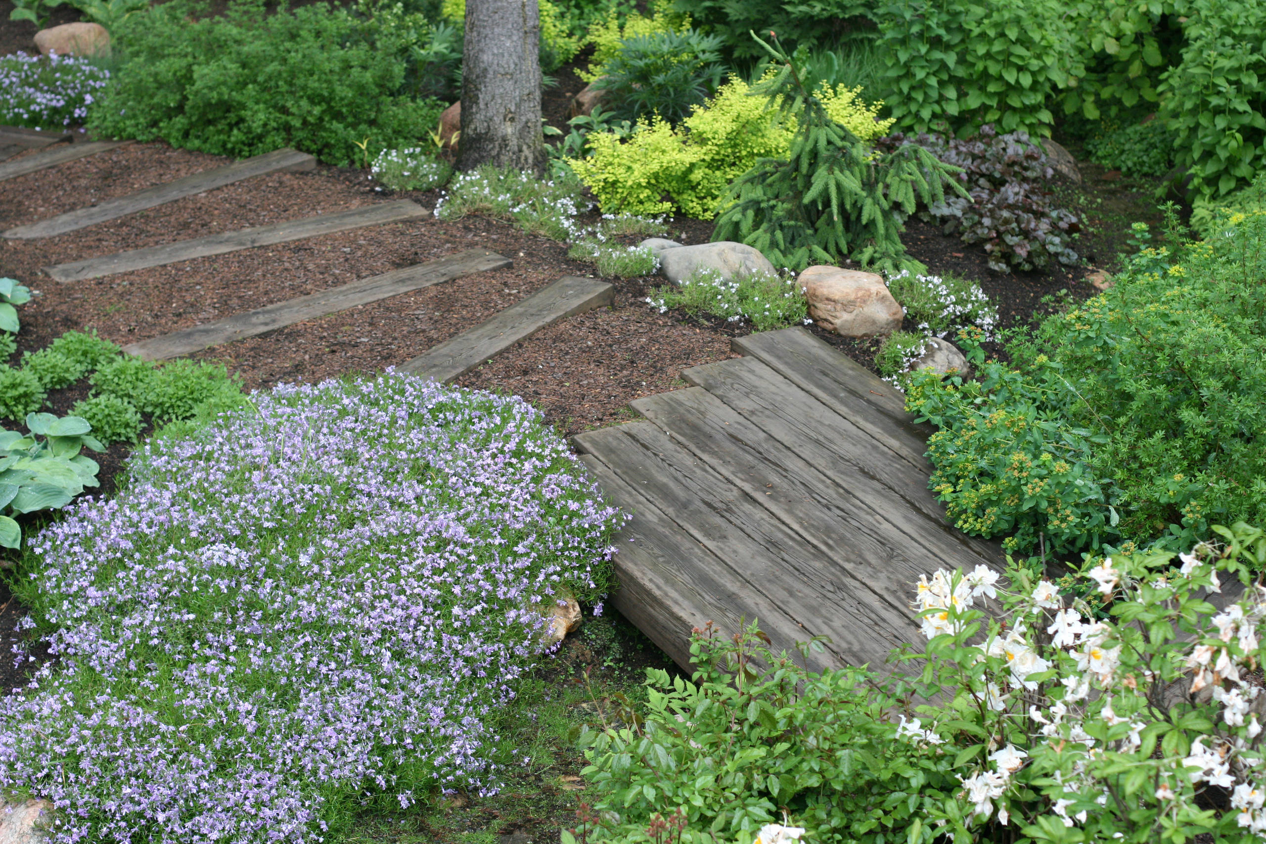 Проект недели: Сад в Барвихе по британскому проекту