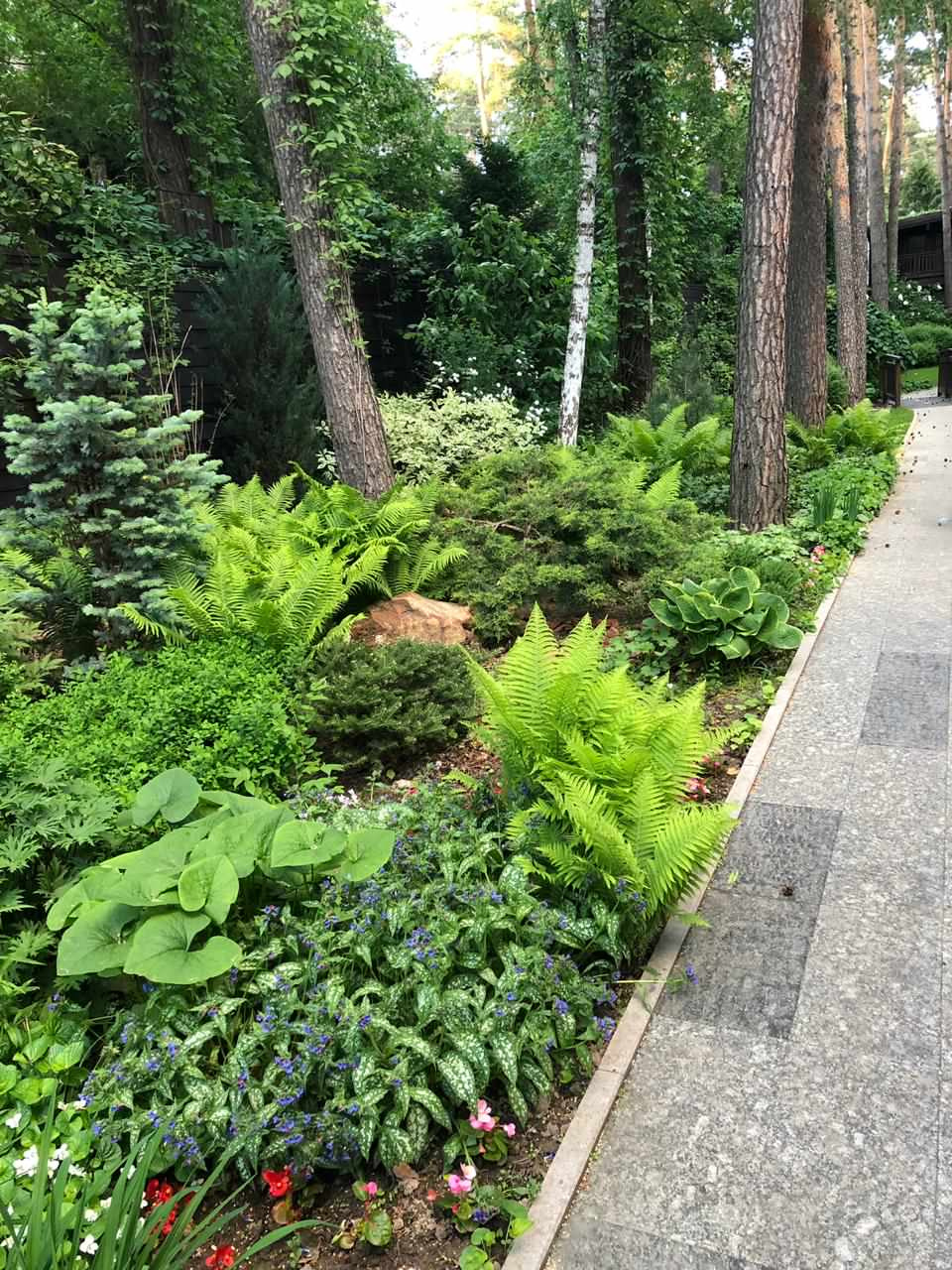 Как правильно: Спланировать цветник на садовом участке