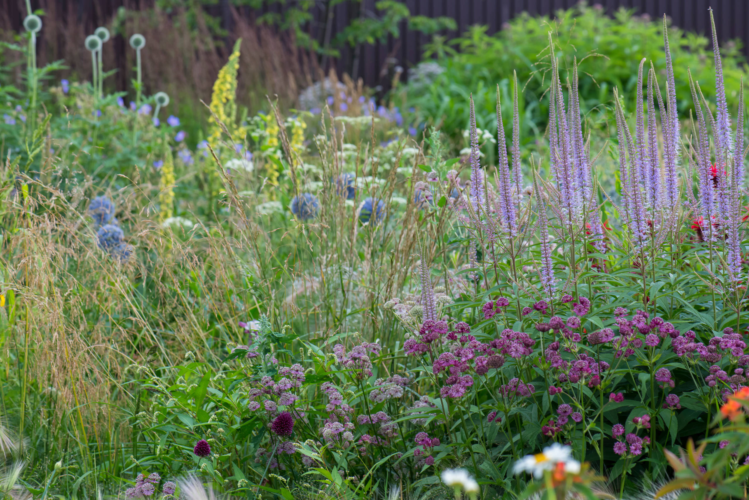 Проект недели: Трехлетний сад под Томском