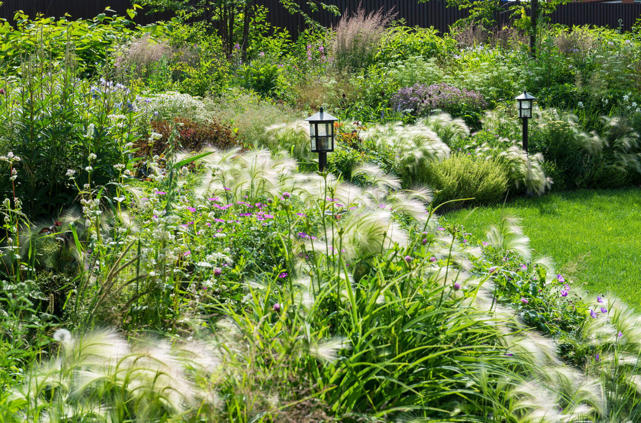 Проект недели: Трехлетний сад под Томском