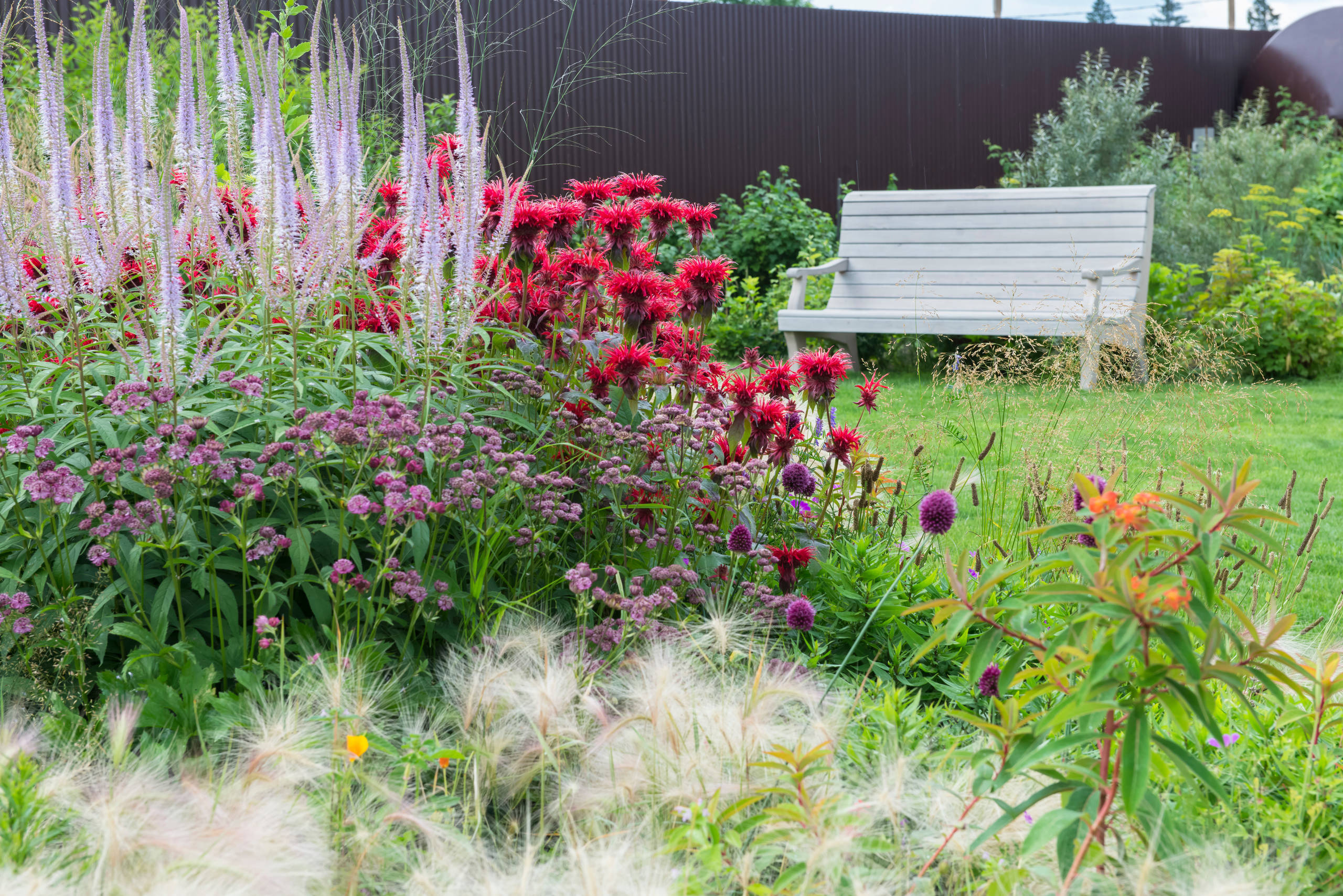 Проект недели: Трехлетний сад под Томском