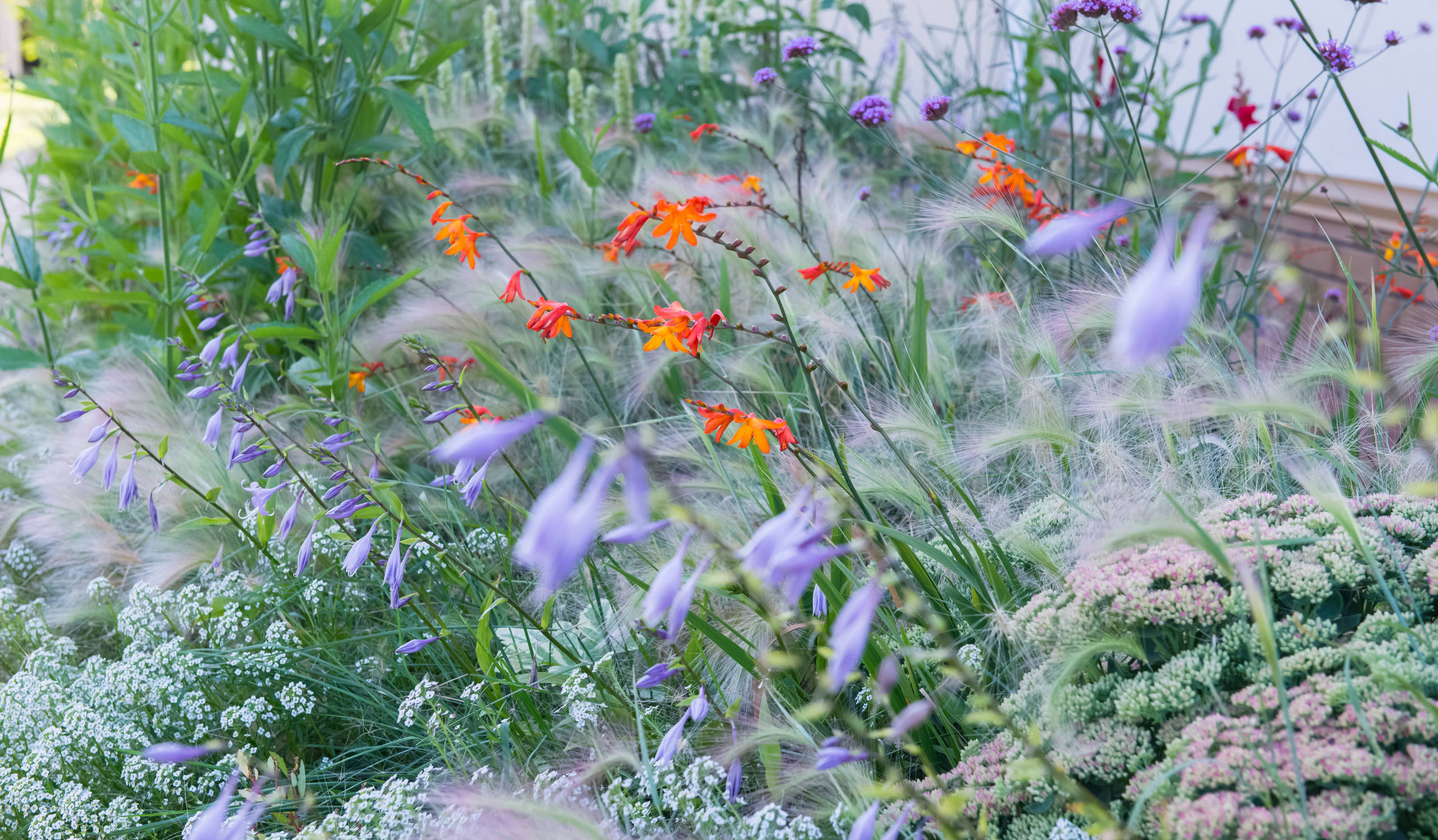 Проект недели: Трехлетний сад под Томском