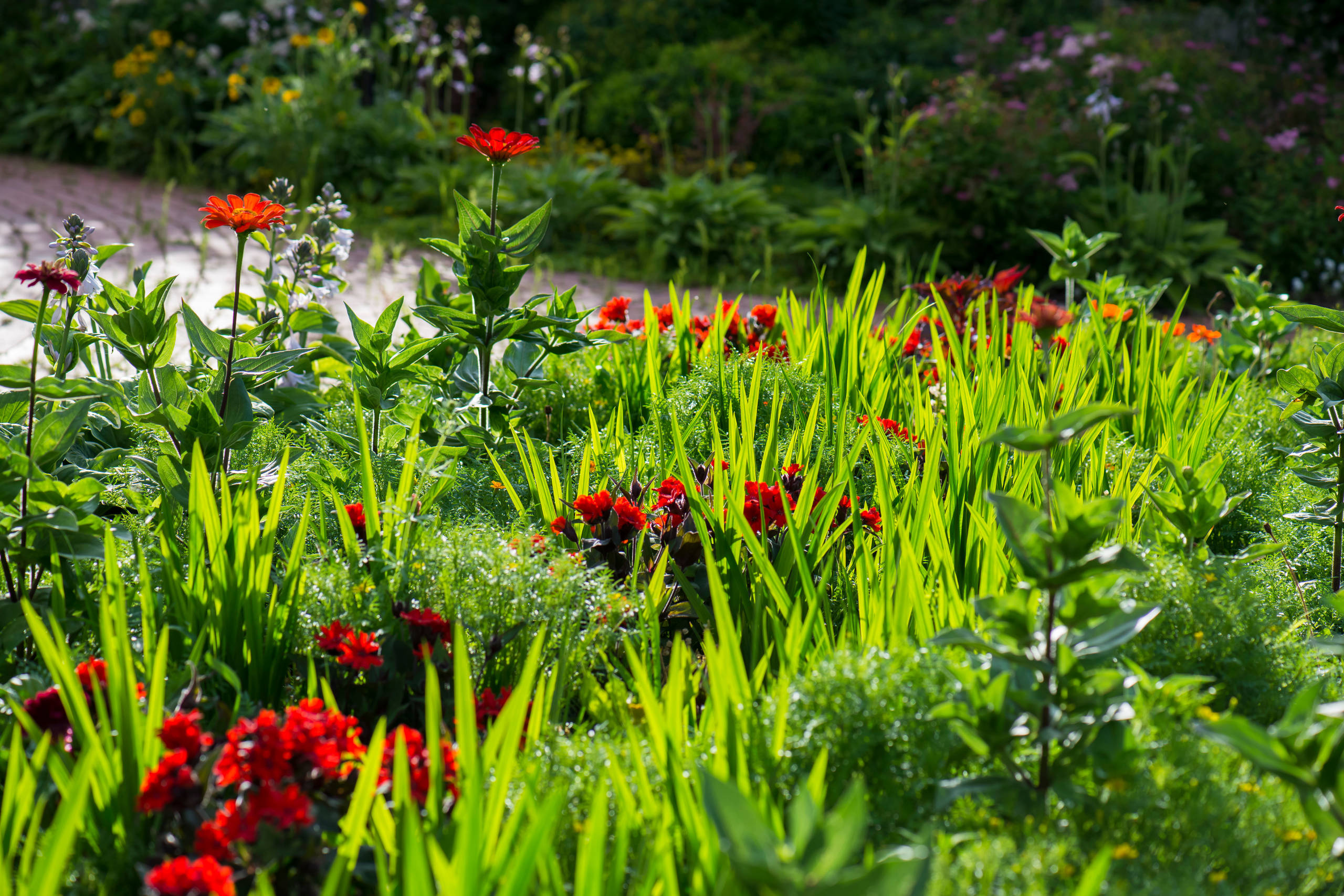 Проект недели: Трехлетний сад под Томском